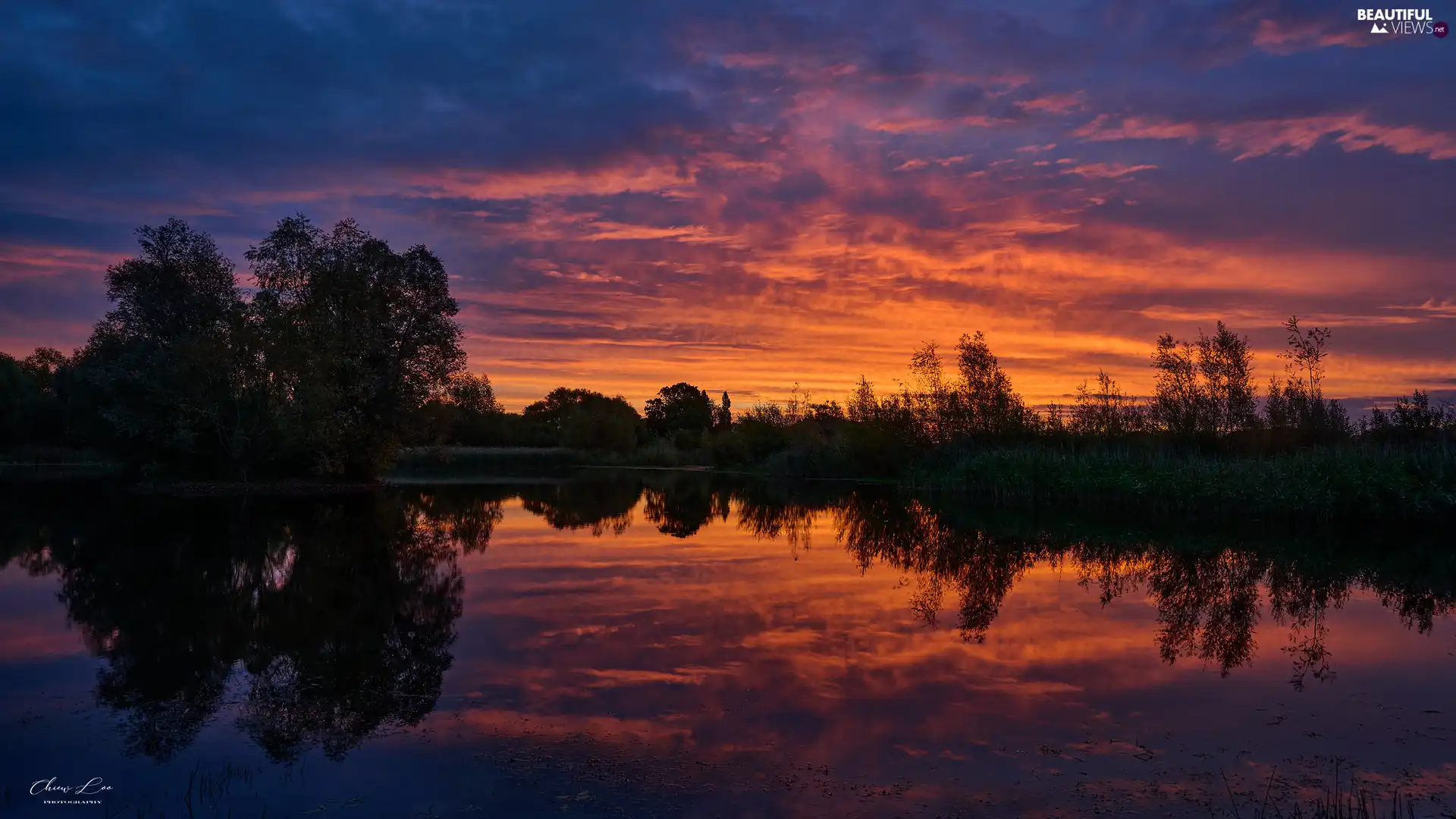 trees, lake, rushes, reflection, viewes, Sunrise