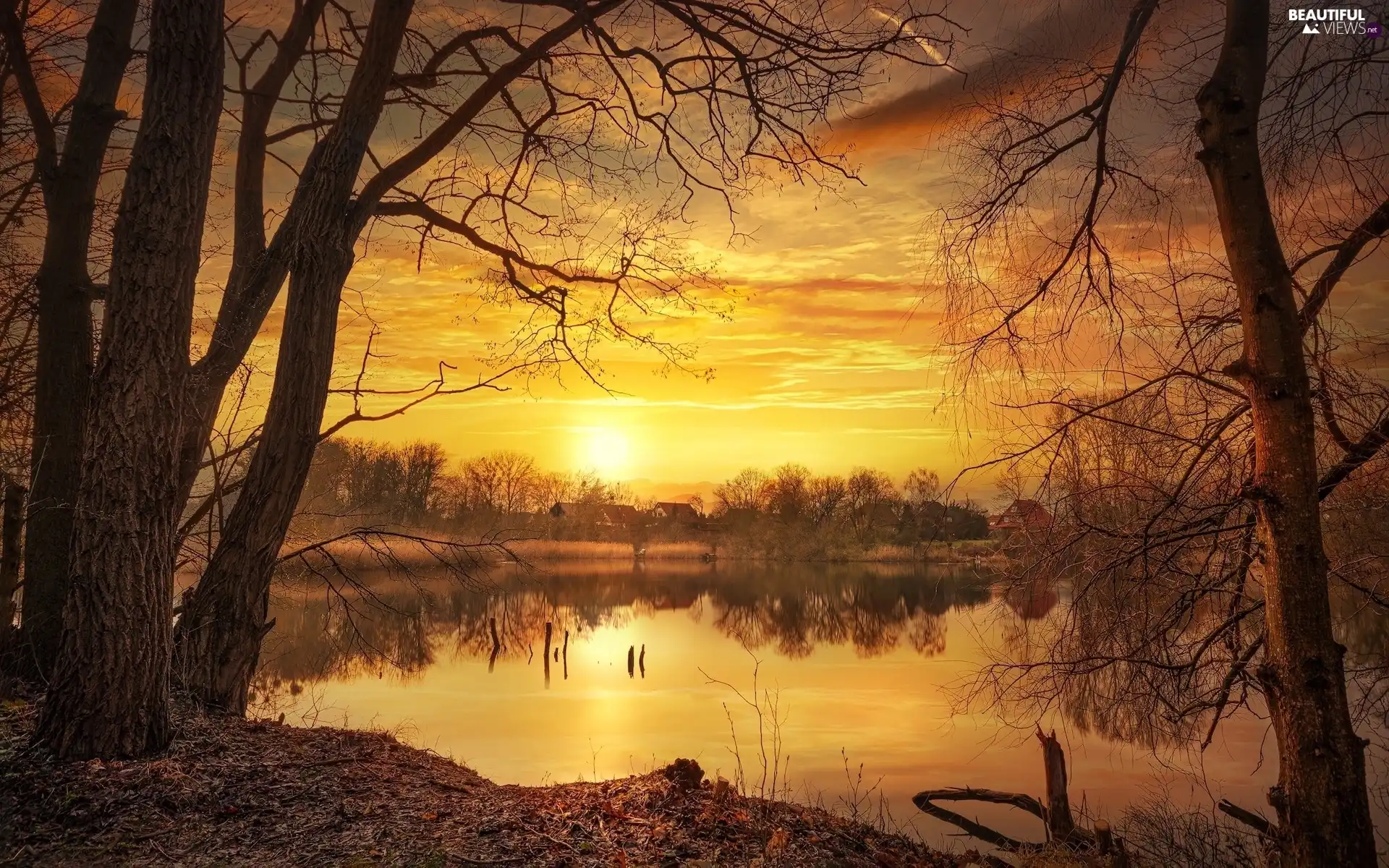 trees, Great Sunsets, reflection, autumn, viewes, lake