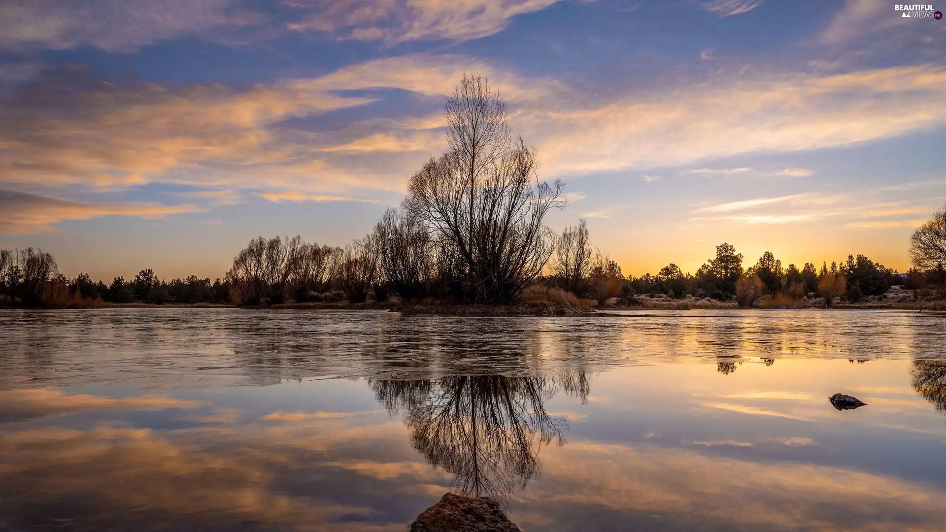 viewes, lake, clouds, reflection, Bush, trees