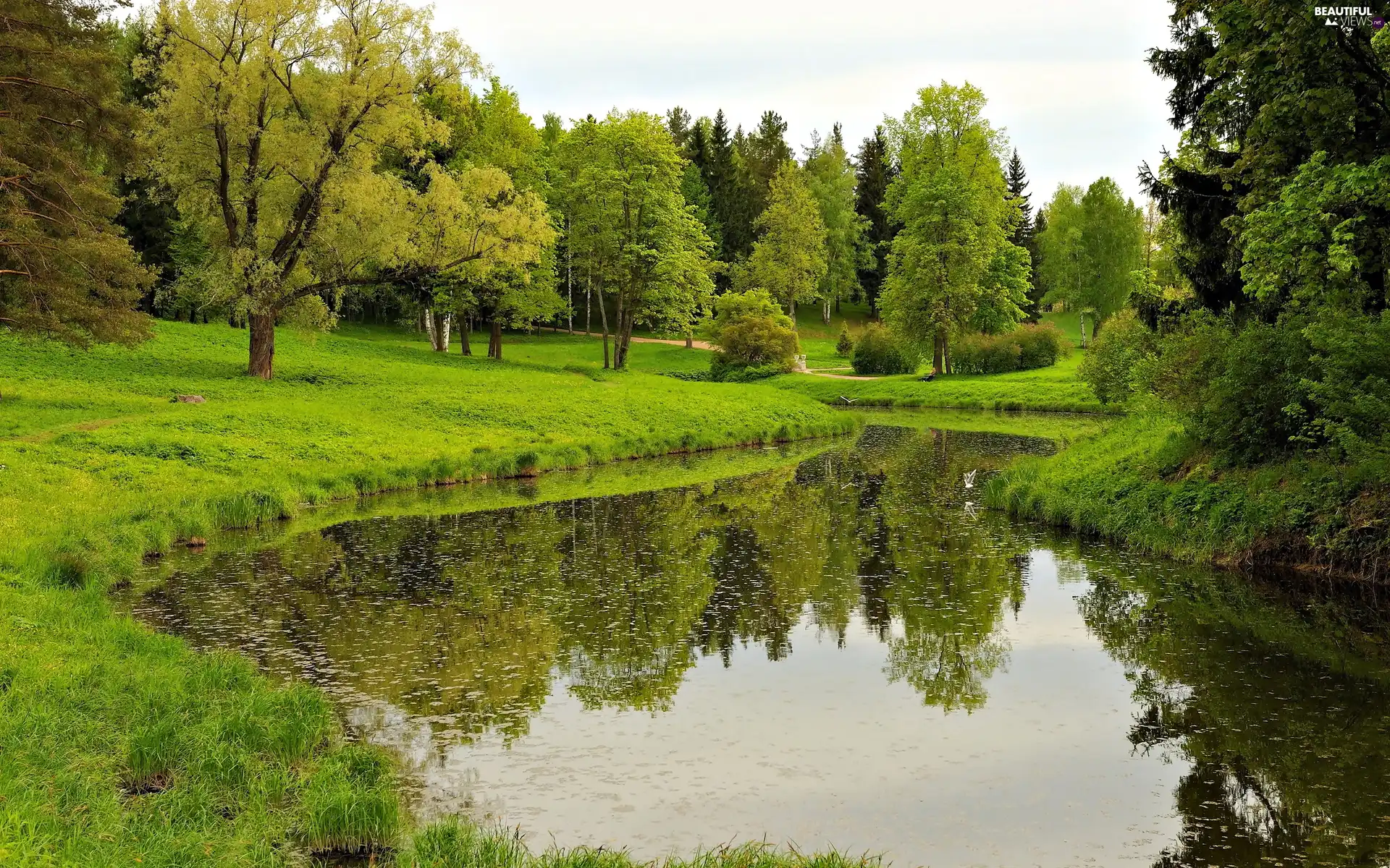 reflection, Park, viewes, Spring, trees, Pond - car