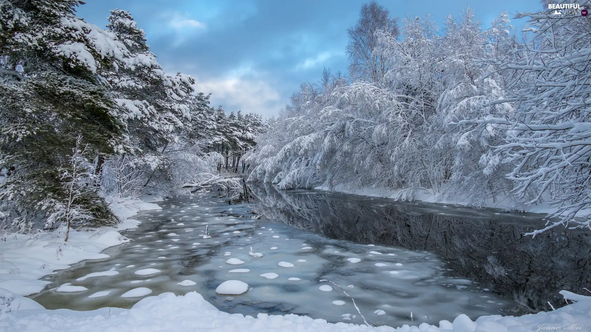 More og Romsdal Region, Norway, Surnadal Municipality, winter, viewes, clouds, Snowy, trees, River