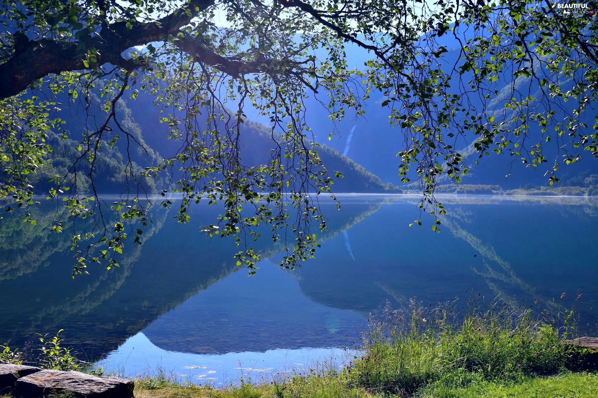 Eidsvatnet Lake, Norway, Mountains, reflection, trees, Trondelag Region
