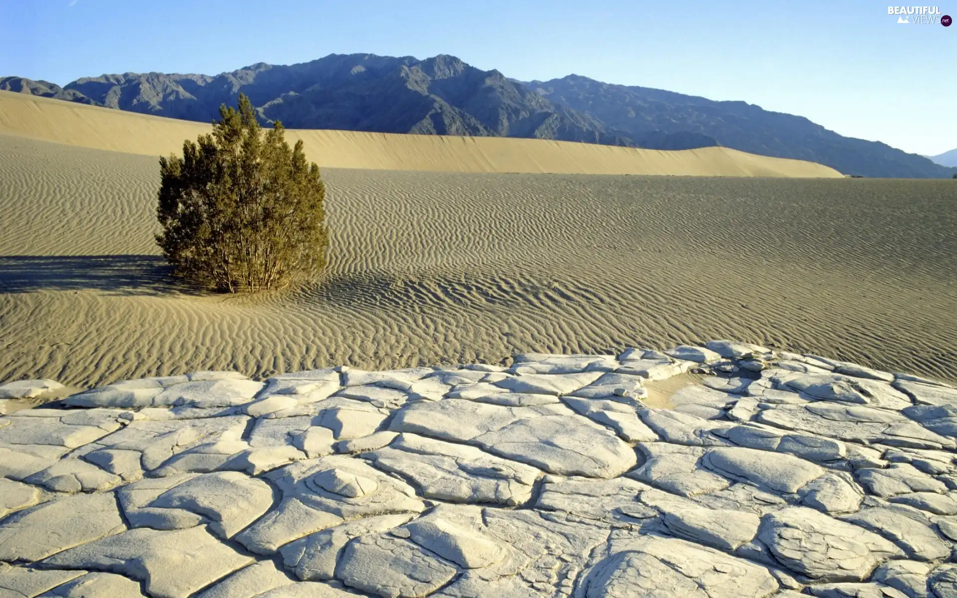 remote, Mountains, sapling, Sand, Stones
