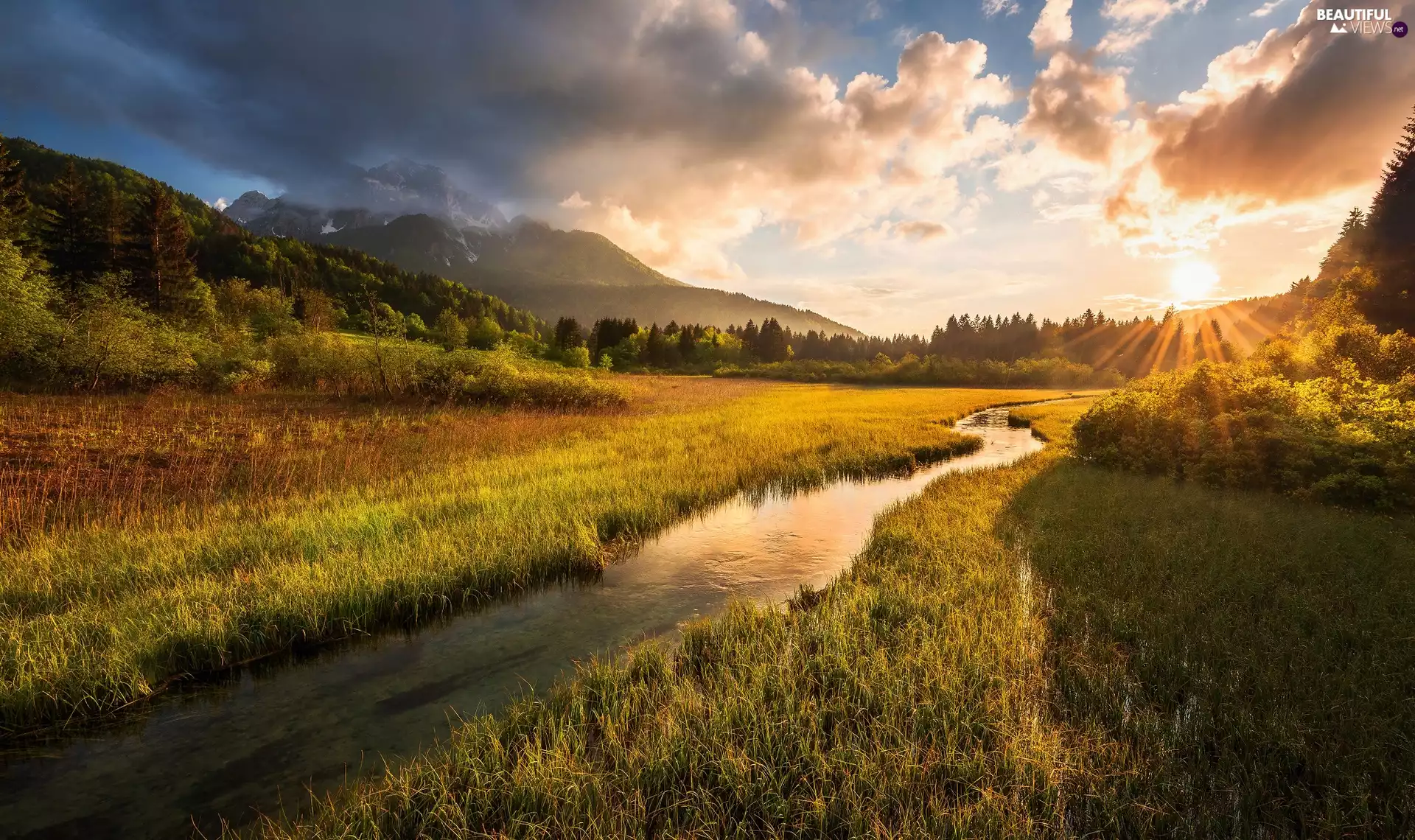 Kranjska Gora, Slovenia, Julian Alps, Zelenci Springs Nature Reserve, trees, viewes, River, Meadow, Sunset