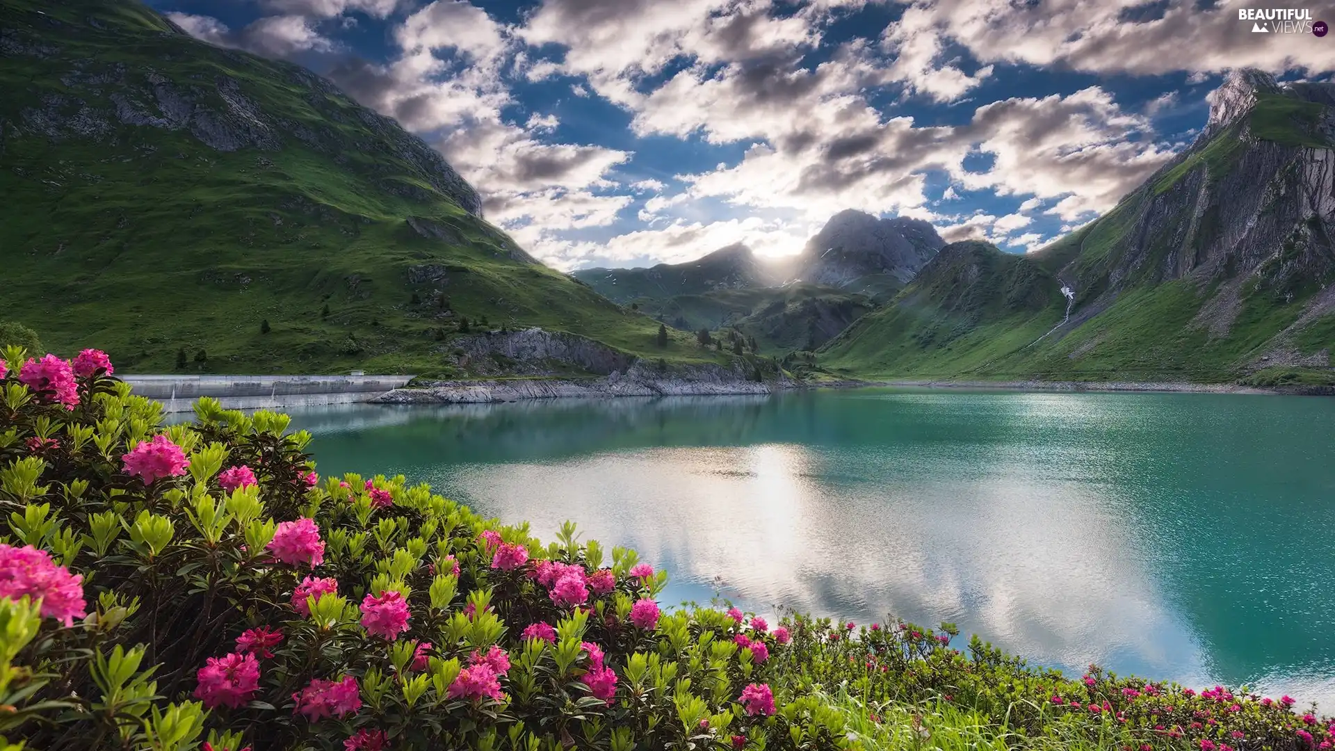 Flowers, rhododendron, lake, clouds, Mountains