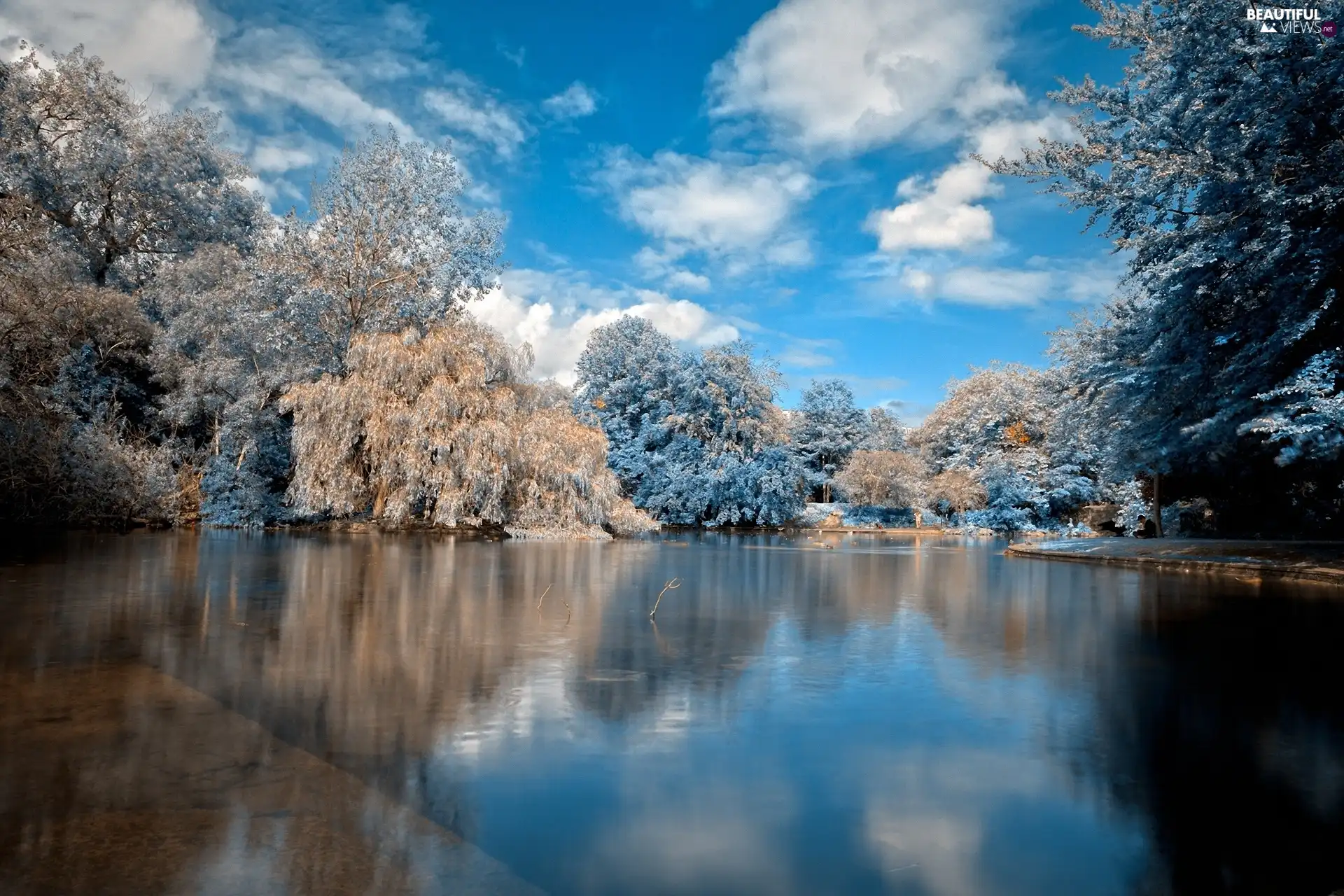 rime, clouds, trees, viewes, lake