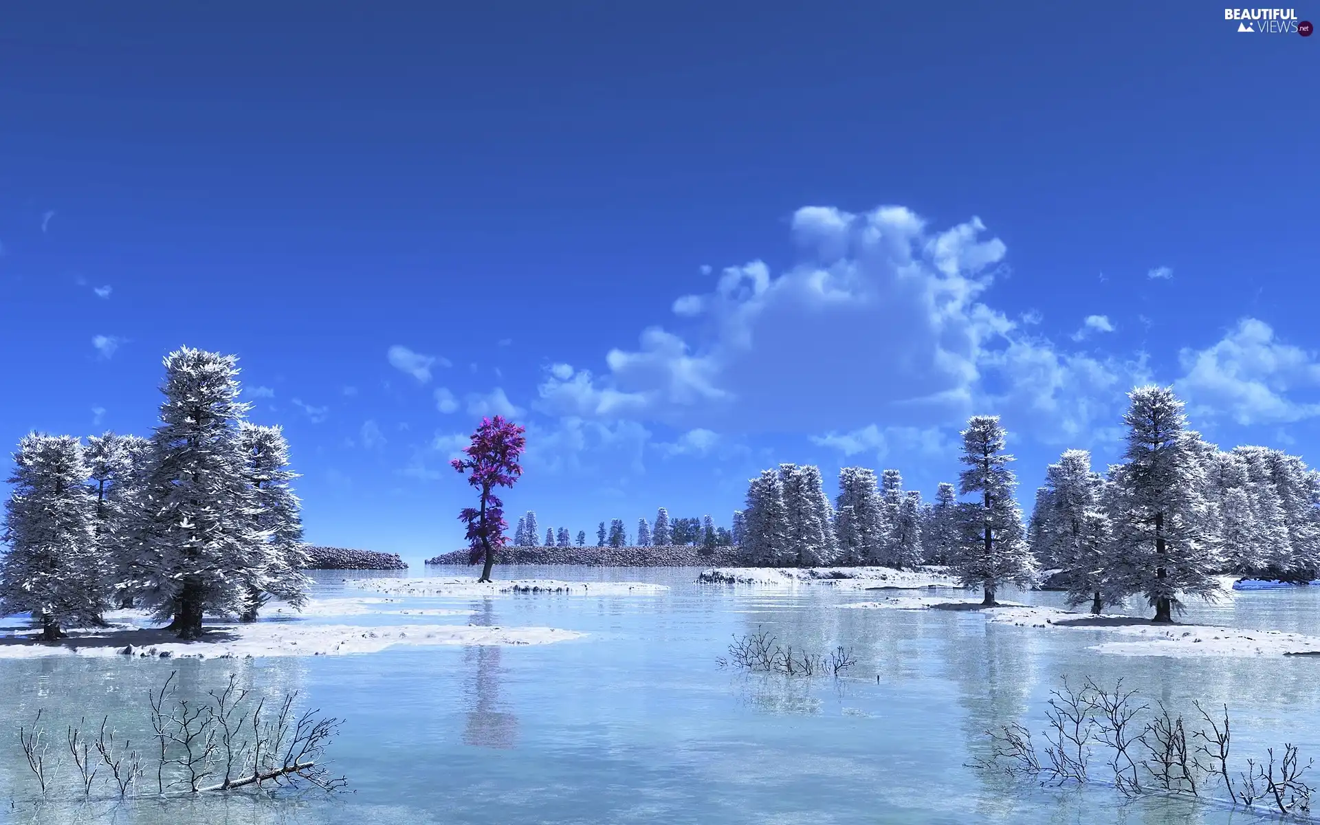 lake, viewes, rime, trees