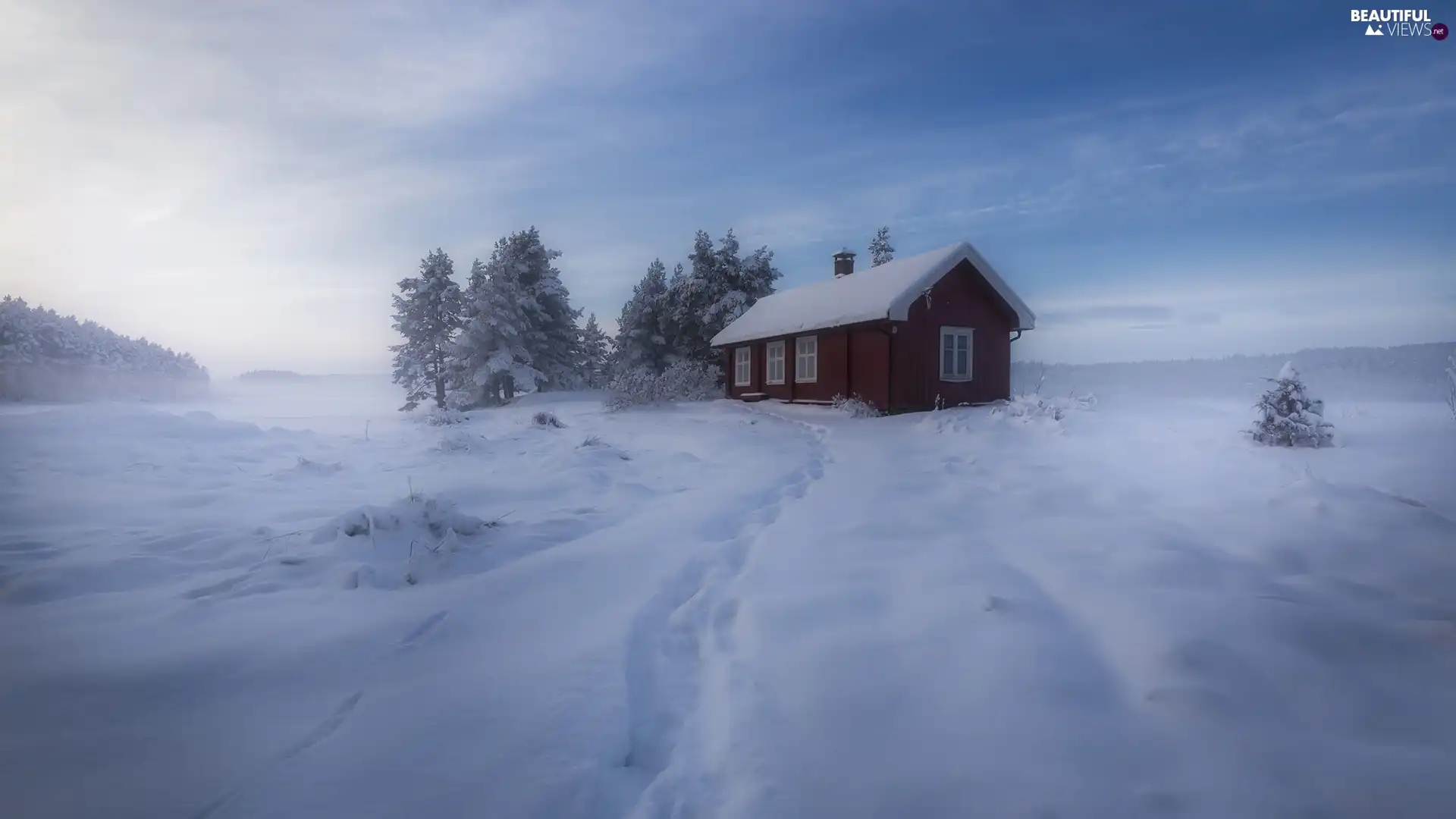 Ringerike Municipality, Norway, winter, trees, snow, Fog, forest, house, viewes