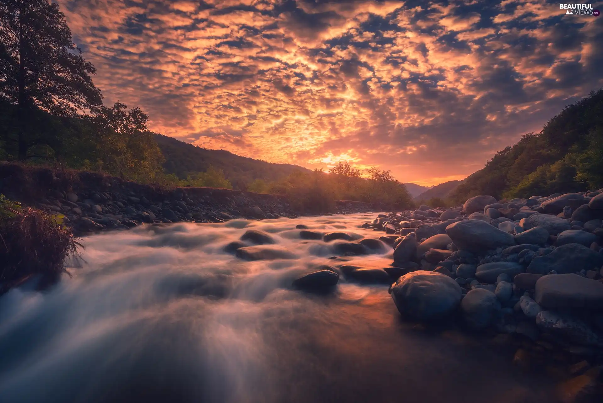 trees, Racha-Lechkhumi Region, Stones, Georgia, Rioni River, viewes, Great Sunsets