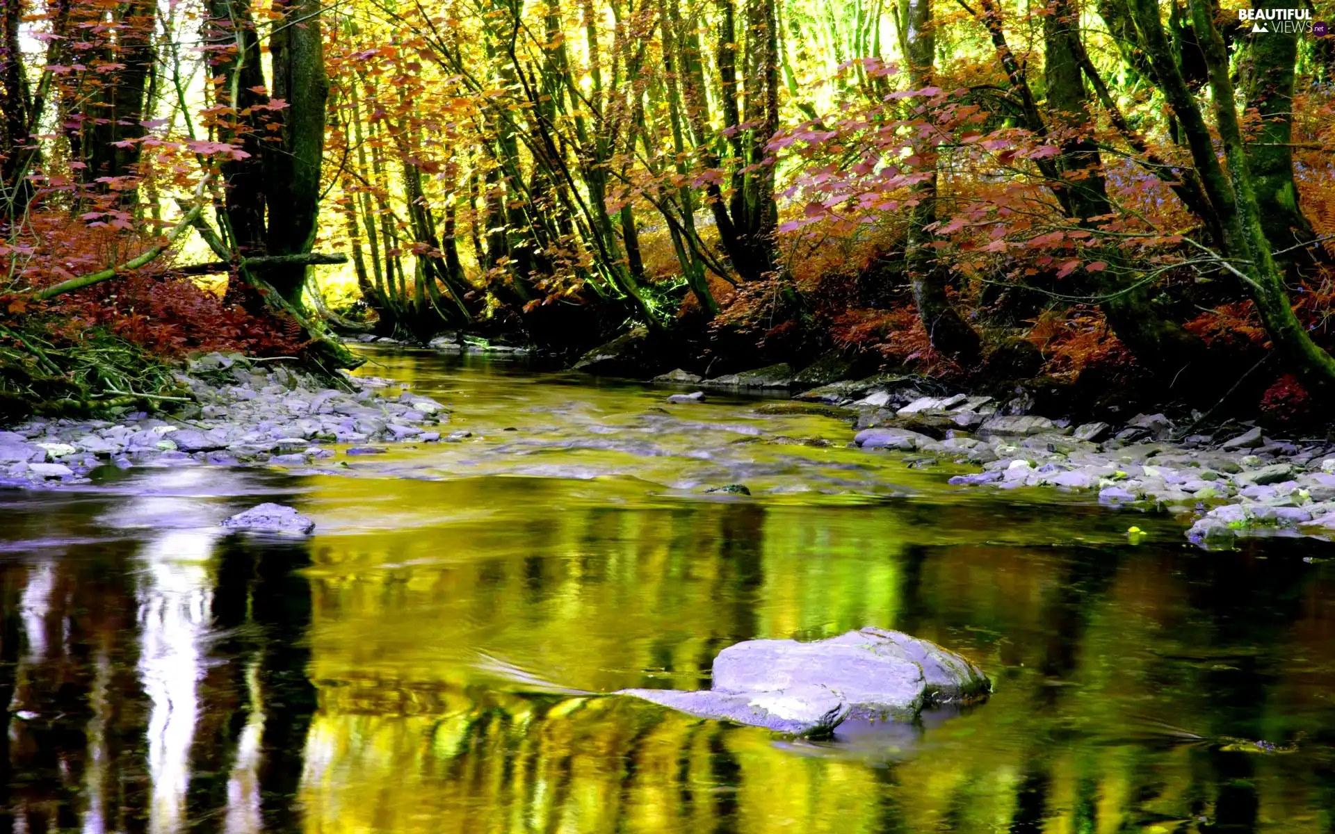 autumn, River