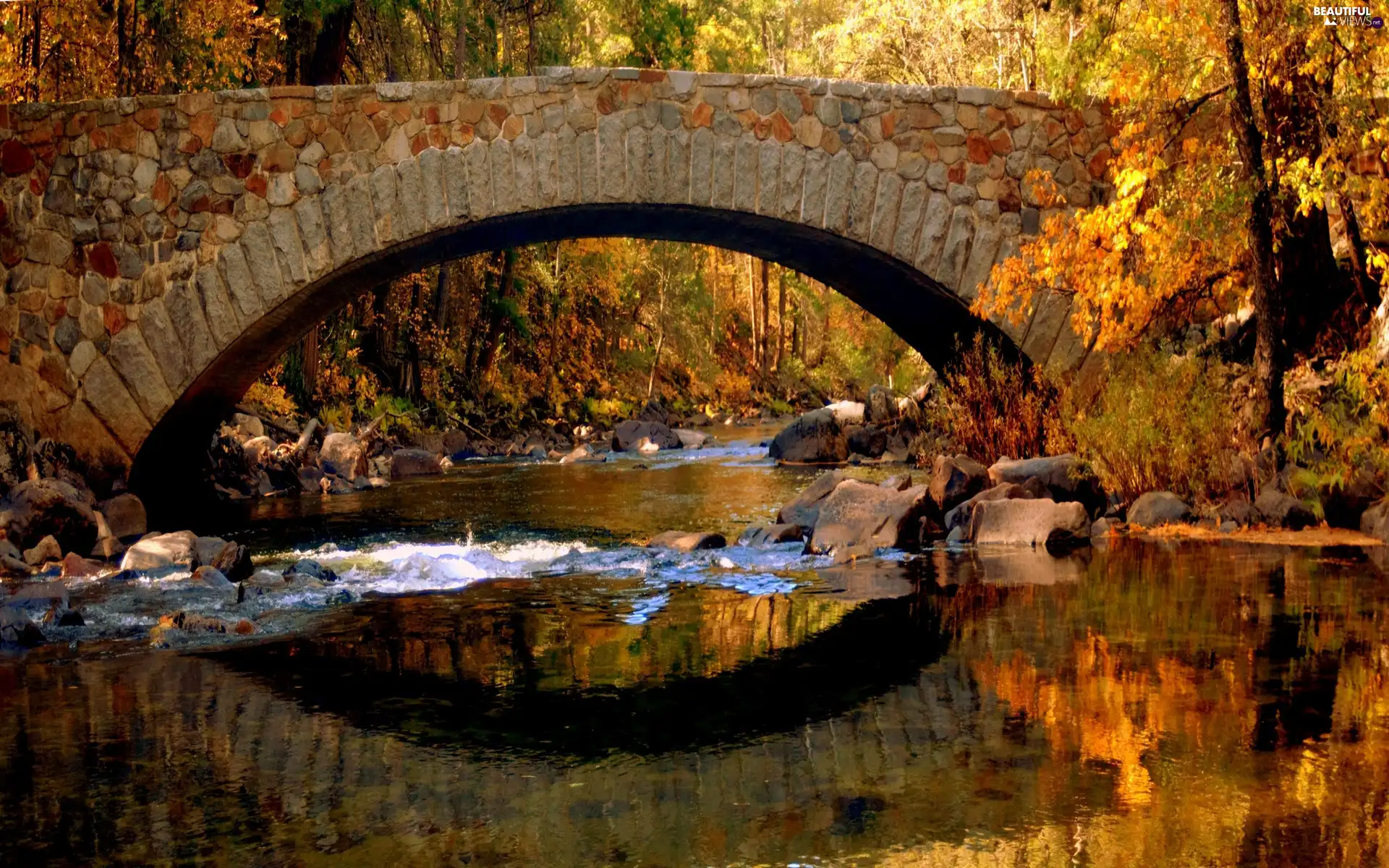 River, bridge, autumn