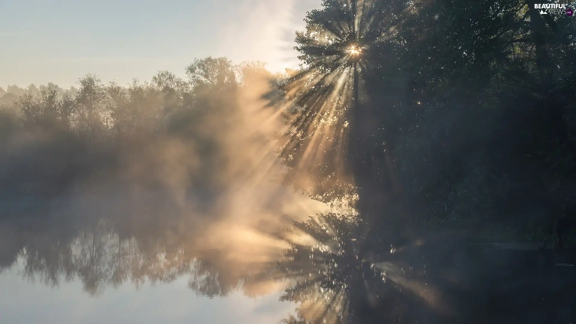Fog, light breaking through sky, trees, viewes, River