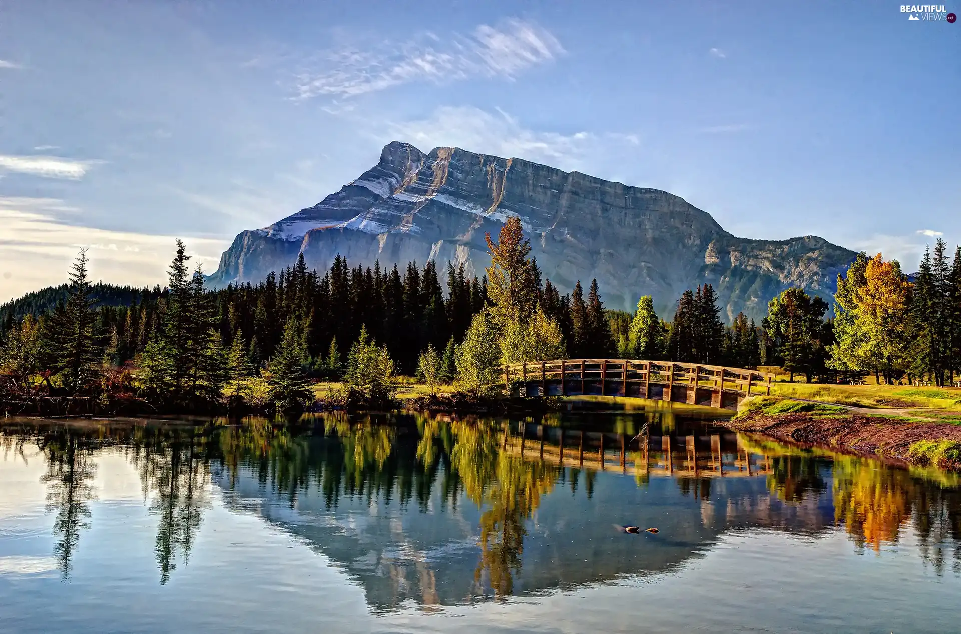 River, bridge, autumn, forest, Mountains