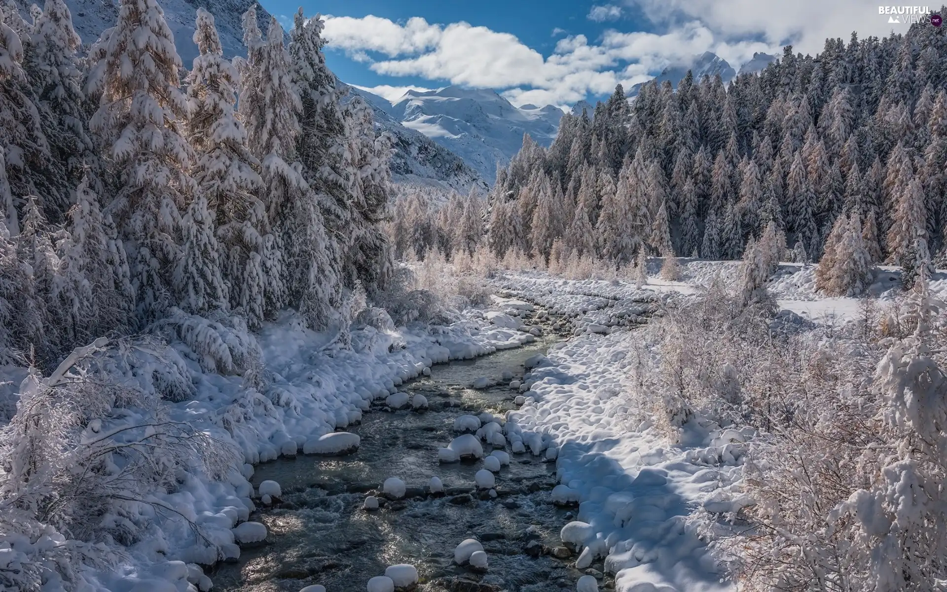 trees, viewes, clouds, stream, winter, forest, Mountains, River