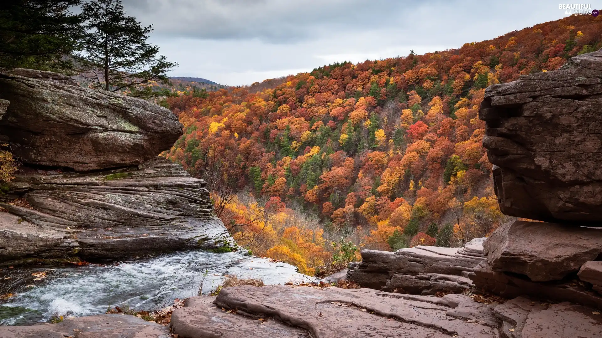 trees, autumn, rocks, River, viewes, color