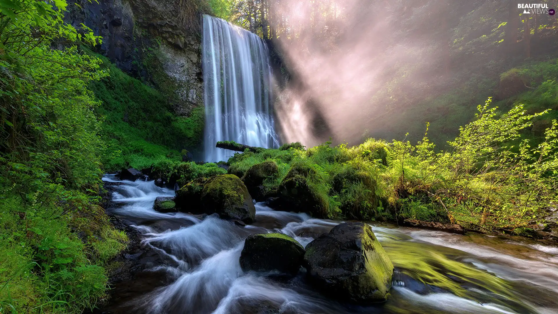 Stones, The United States, trees, Columbia River Gorge Nature Reserve, viewes, VEGETATION, Columbia River, rocks, Hood River, waterfall, mossy, forest, State of Oregon