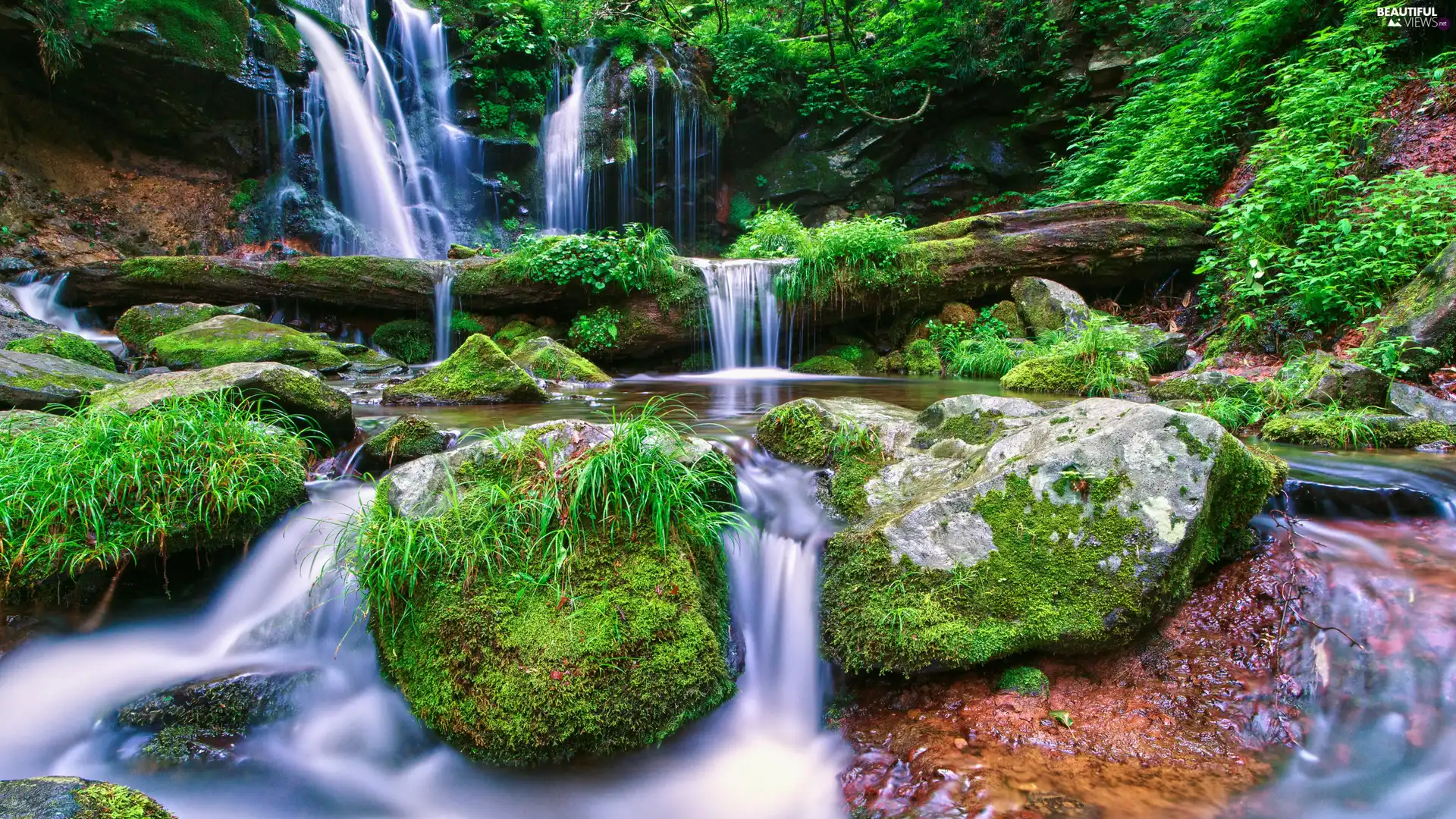 mossy, waterfall, fallen, River, forest, Stones, trees