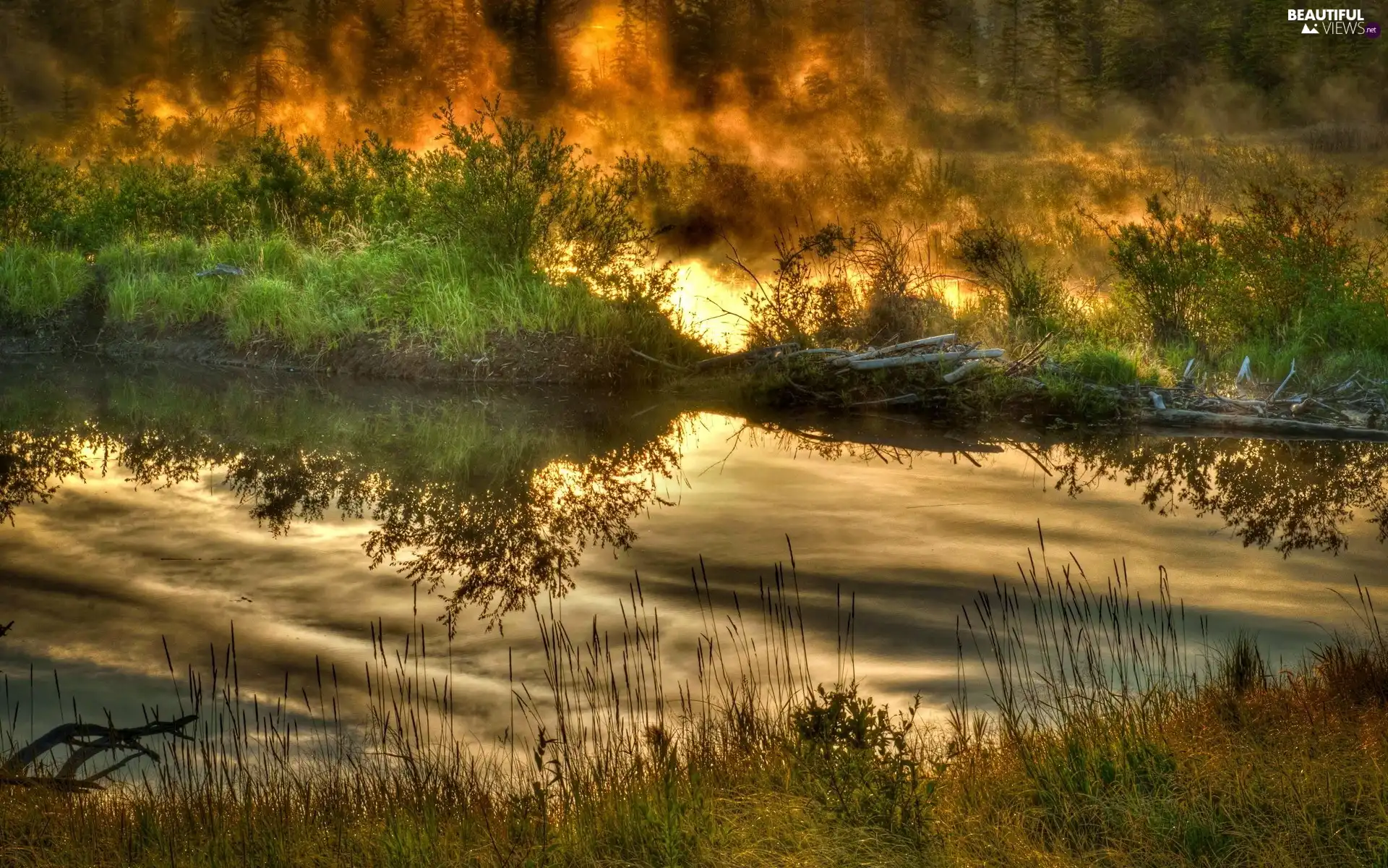 Big Fire, forest, River