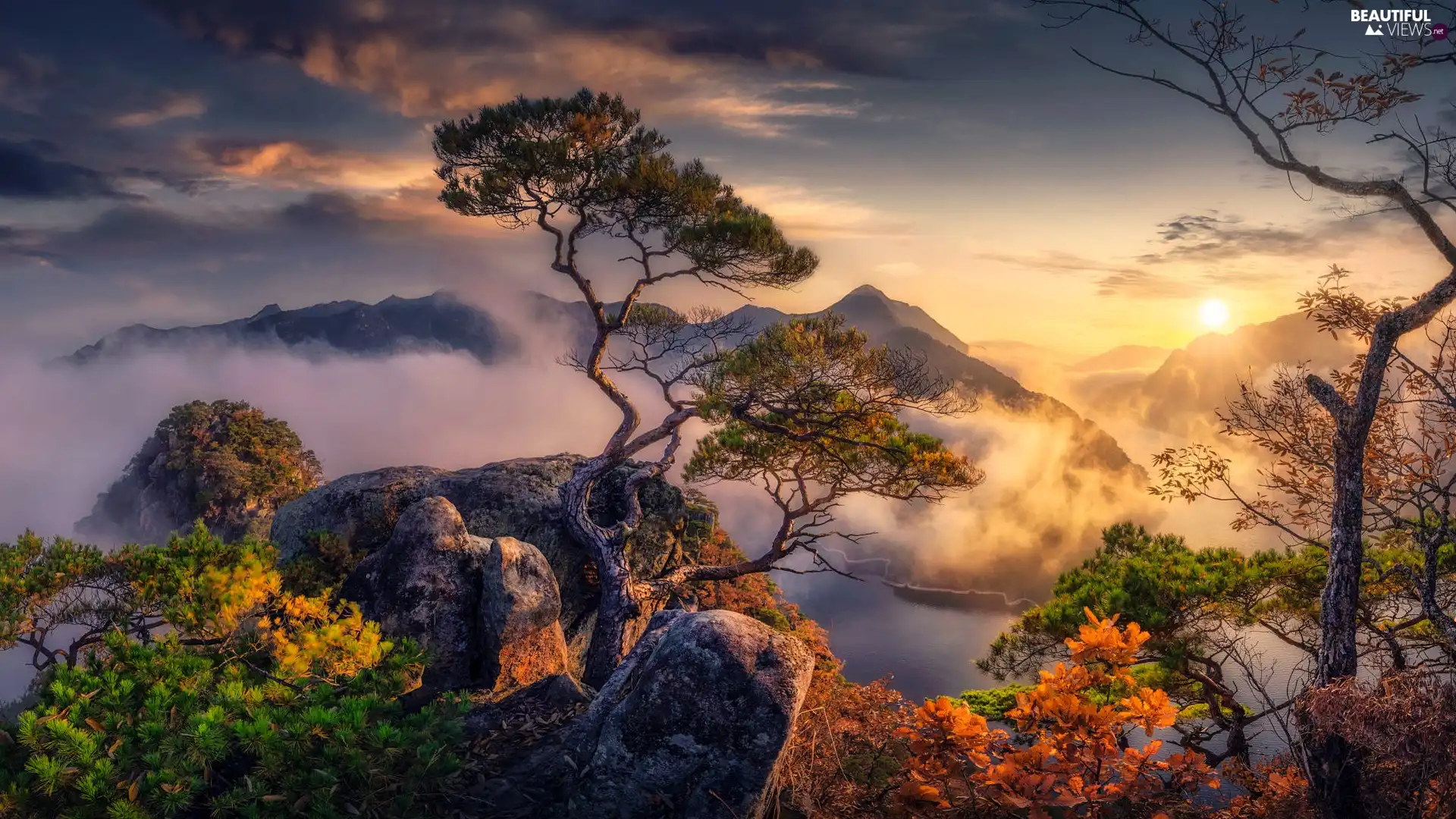 viewes, pine, Fog, rocks, Sunrise, trees, Mountains, River