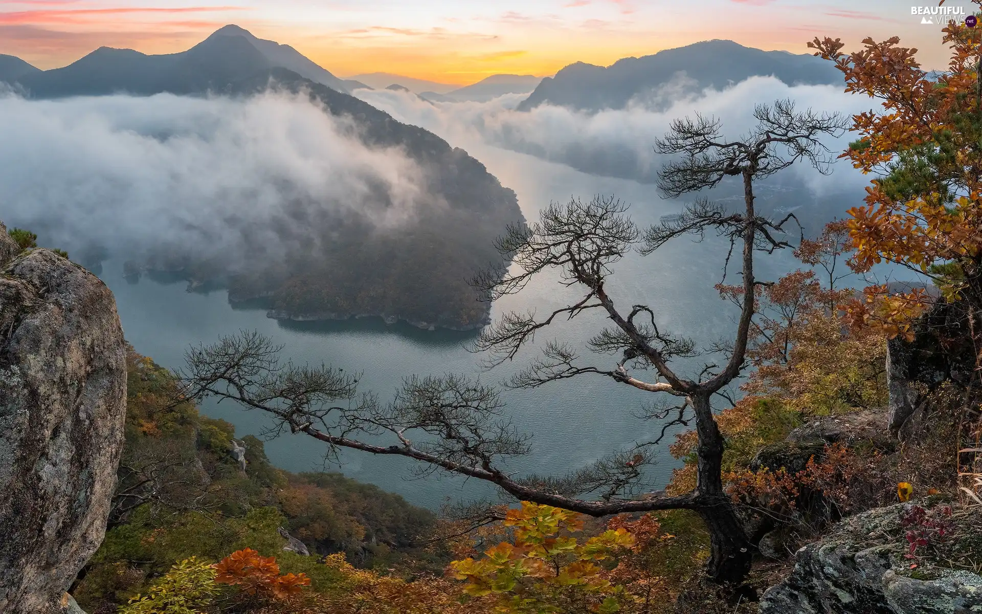 autumn, Mountains, trees, River, rocks, Fog