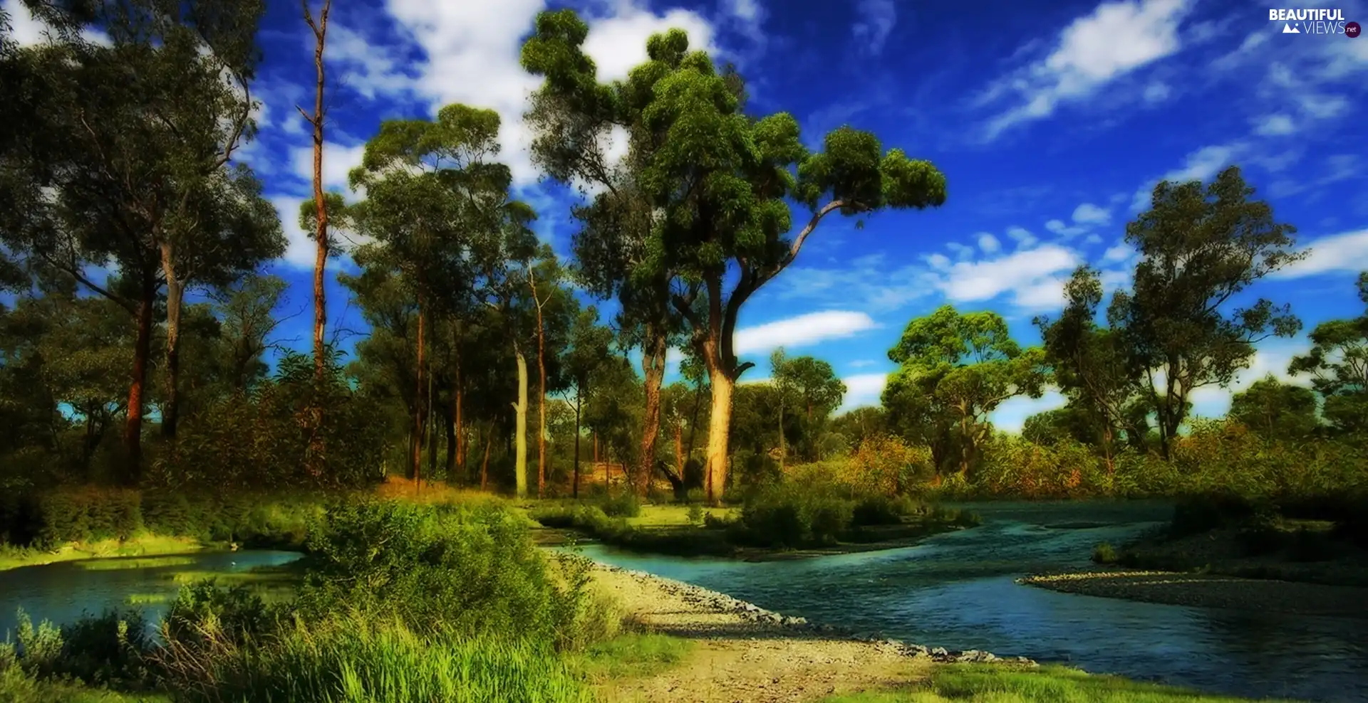 River, Green, forest