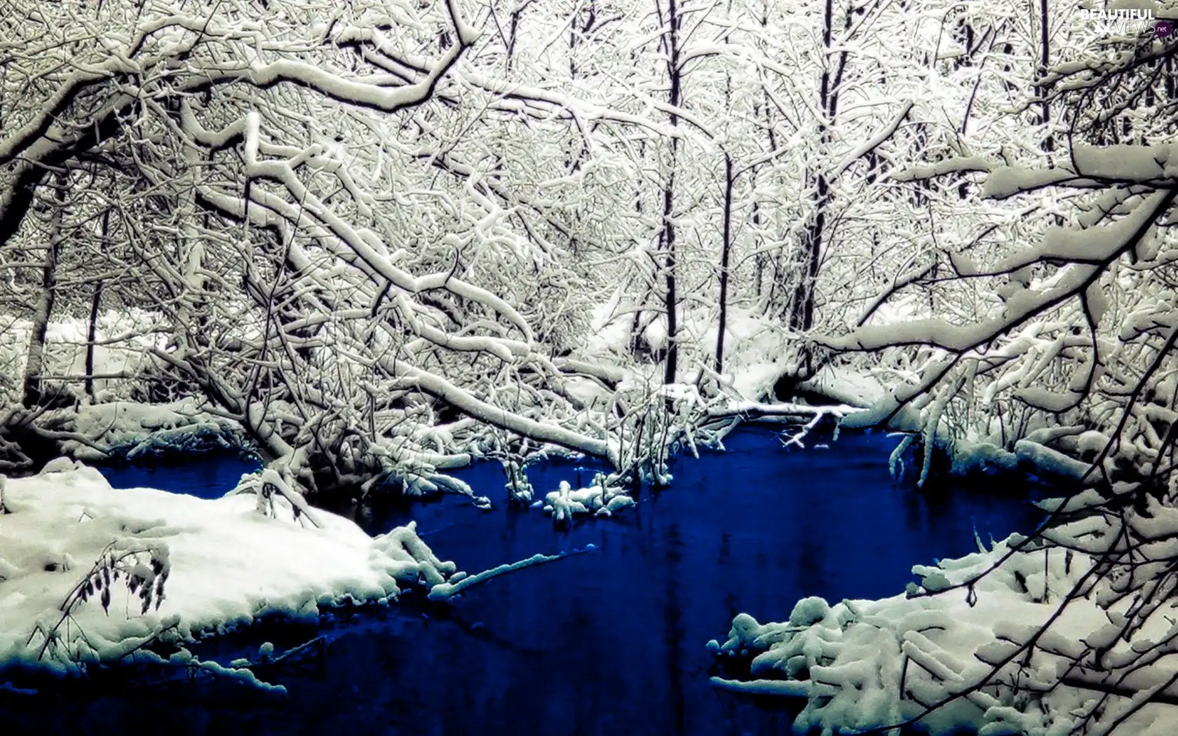 River, winter, forest