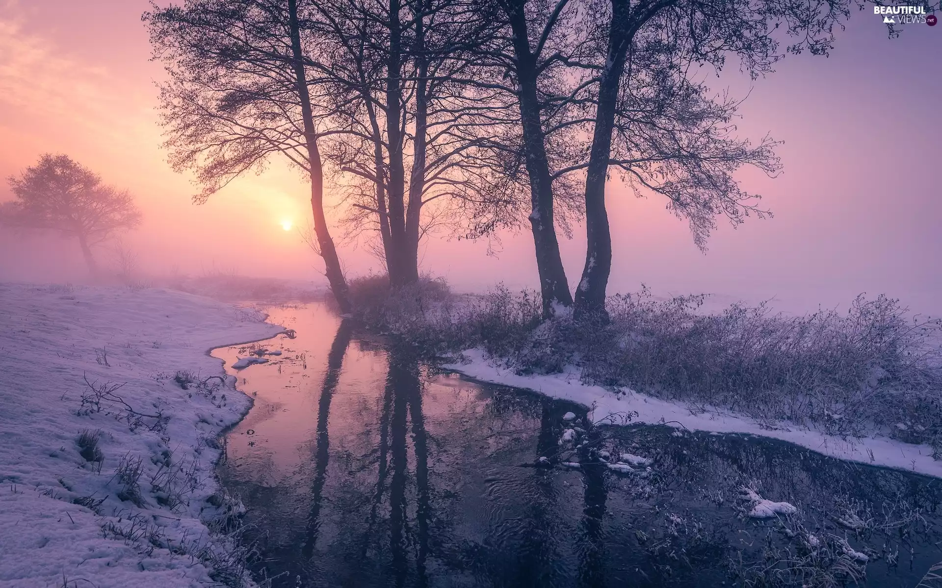 snow, trees, Fog, viewes, Bush, winter, River, light breaking through sky