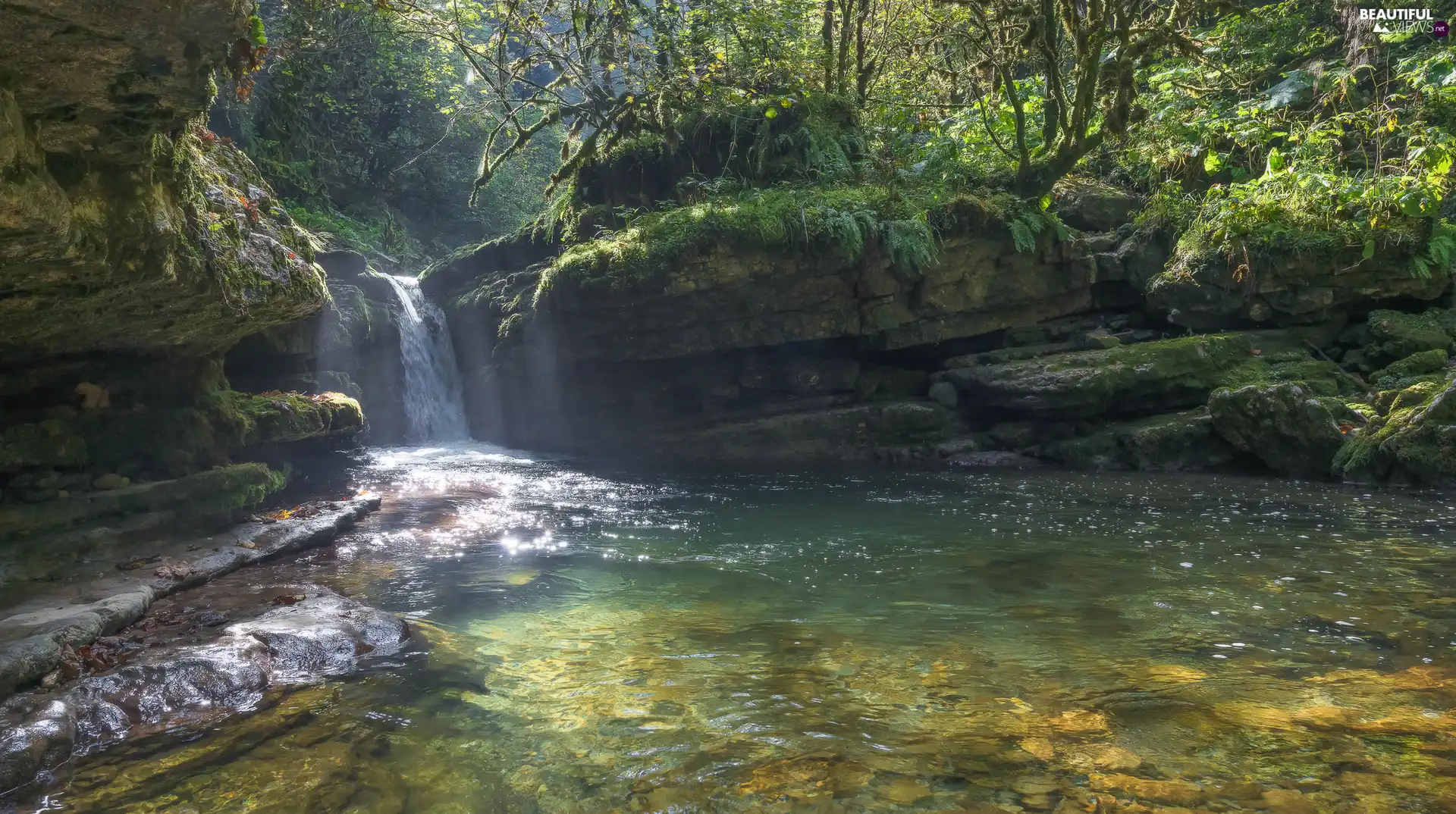 waterfall, River, mossy, rocks, forest