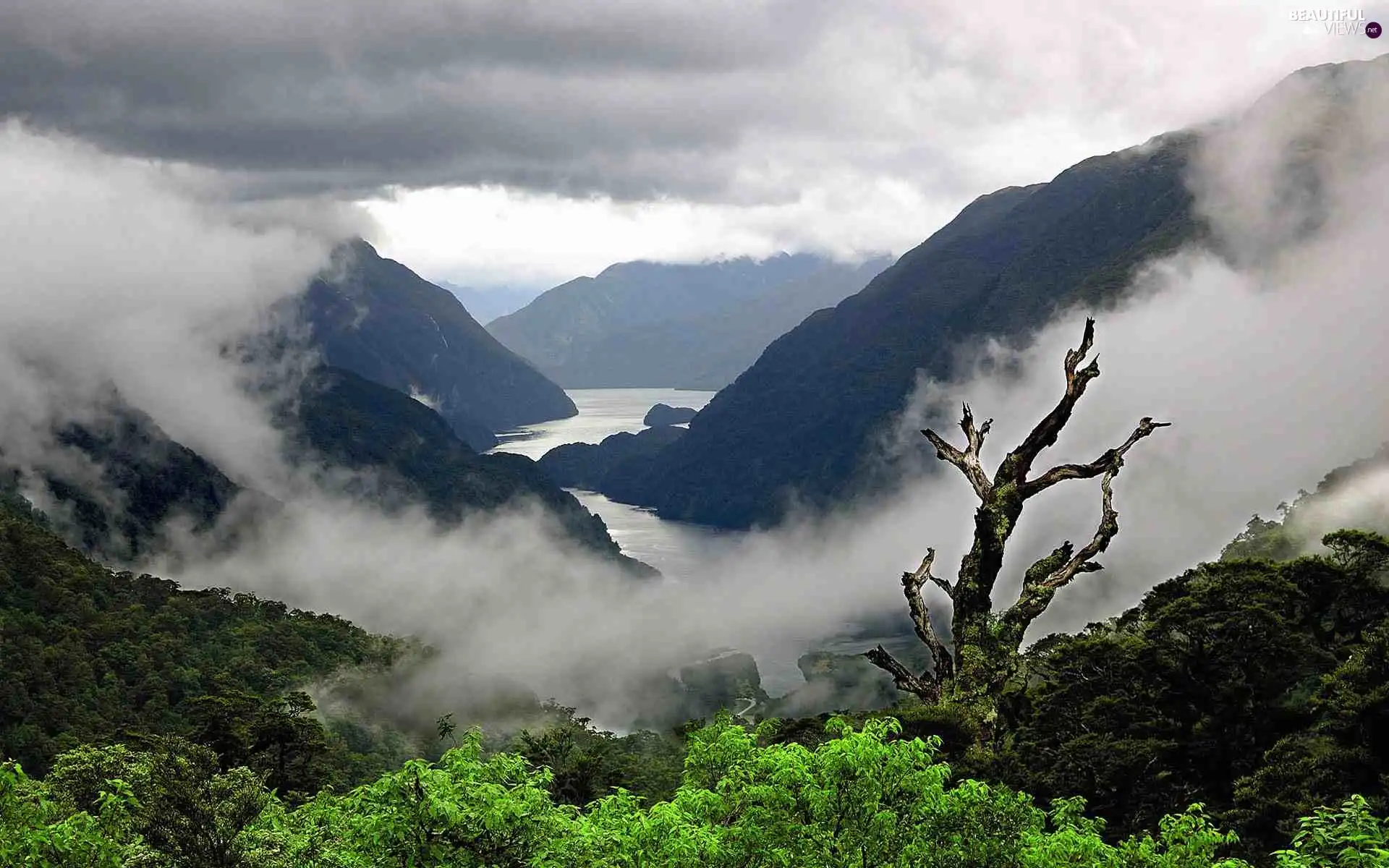 River, Mountains, water, forest, Steam