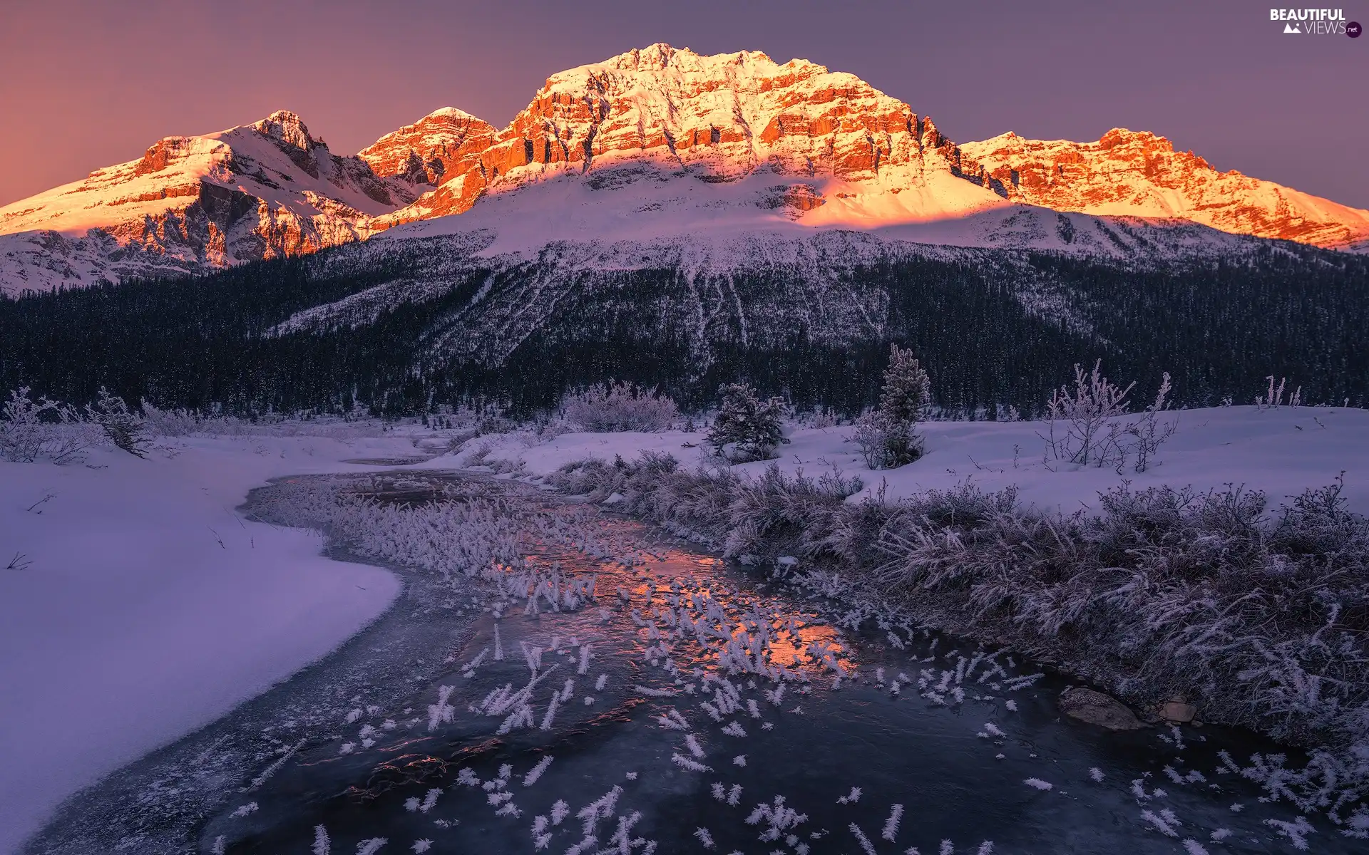 forest, winter, viewes, River, trees, Mountains