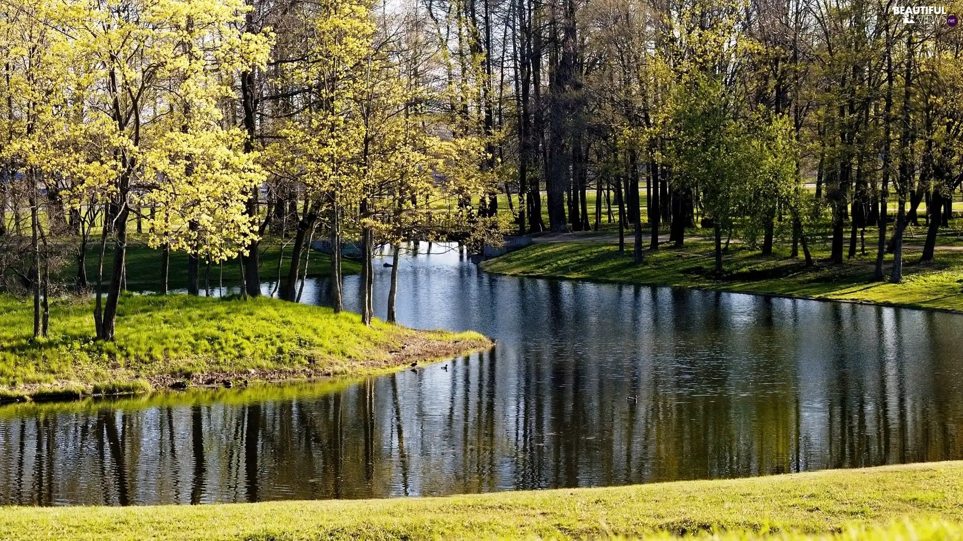 Park, River