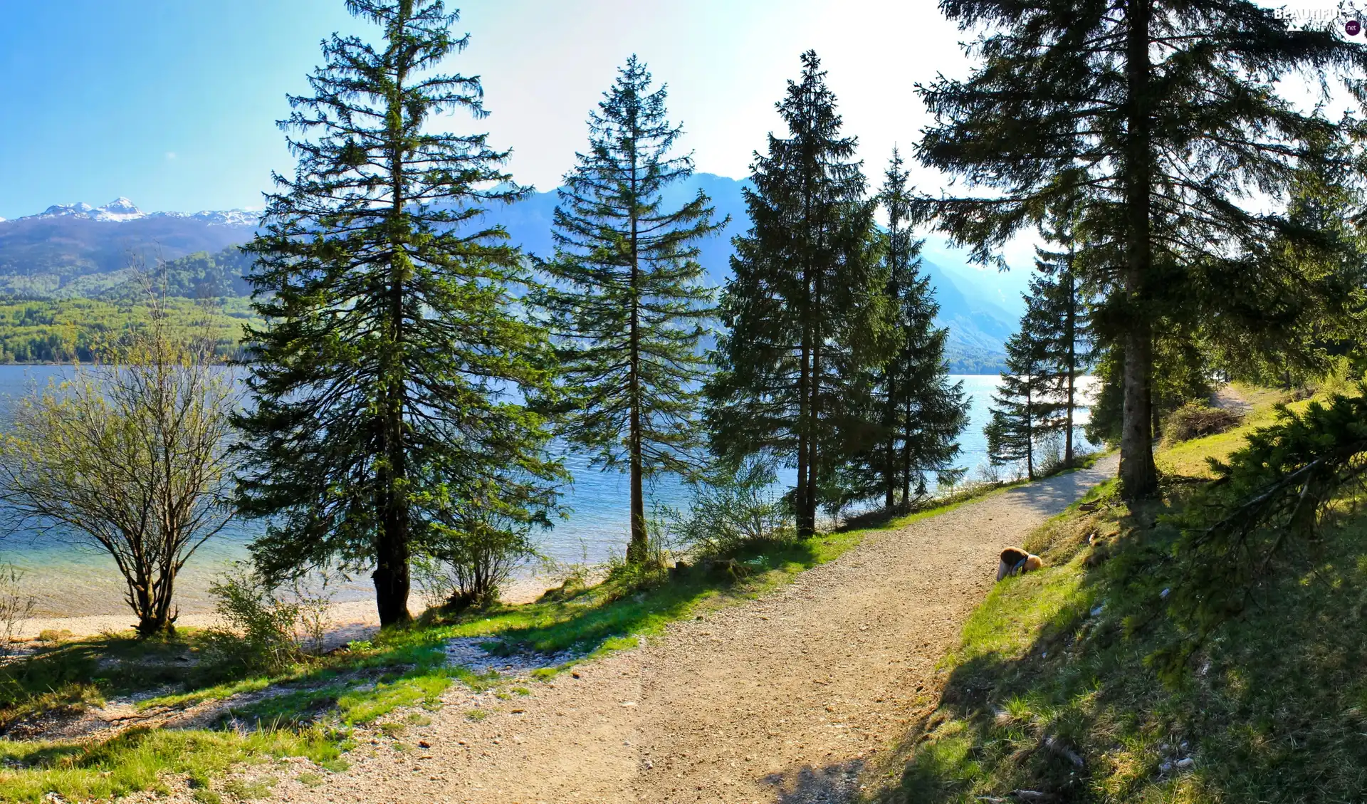 Path, mountain, river, by