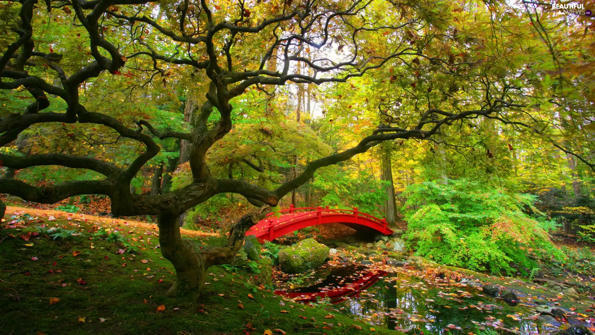 Red, Park, River, bridges