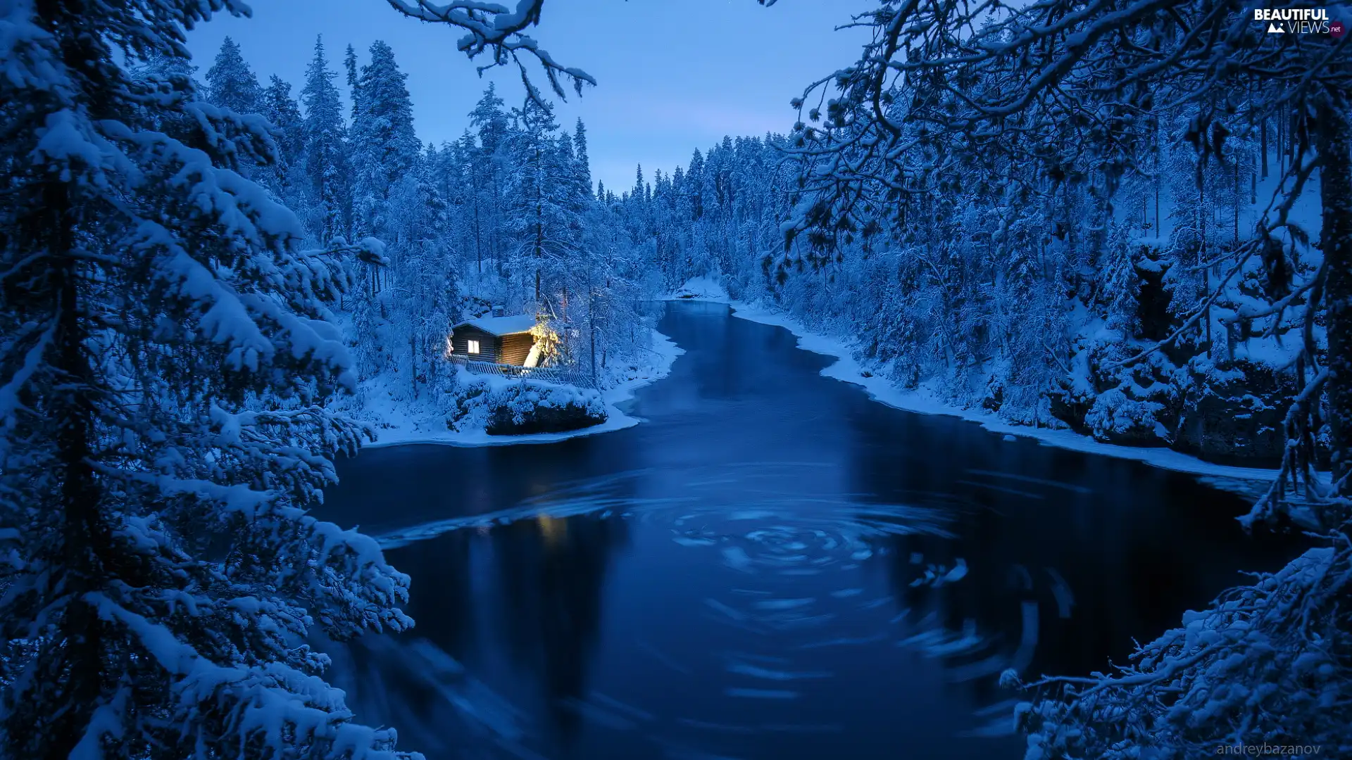 trees, forest, winter, River, viewes, Snowy
