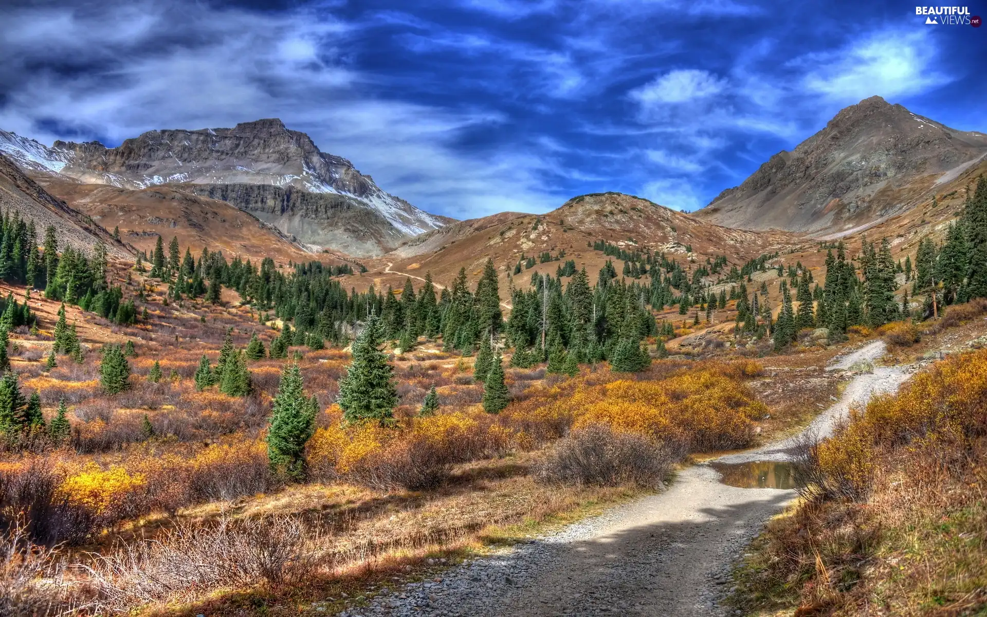 River, Mountains, Spruces