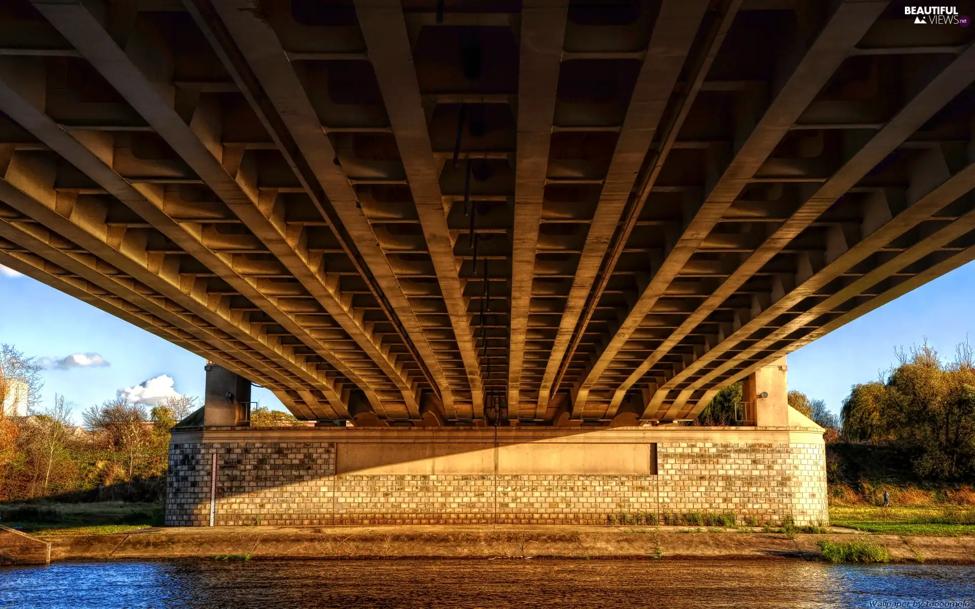 River, guard, St. Rocha, Poznań, bridge