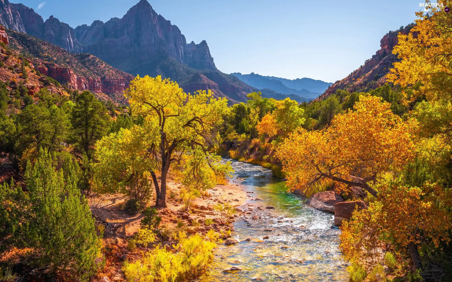 Watchman Mountains, Zion National Park, Virgin River, Stones, Utah State, The United States, viewes, autumn, trees