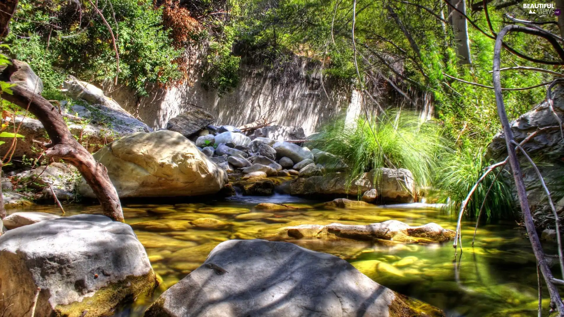 Stones, viewes, River, trees