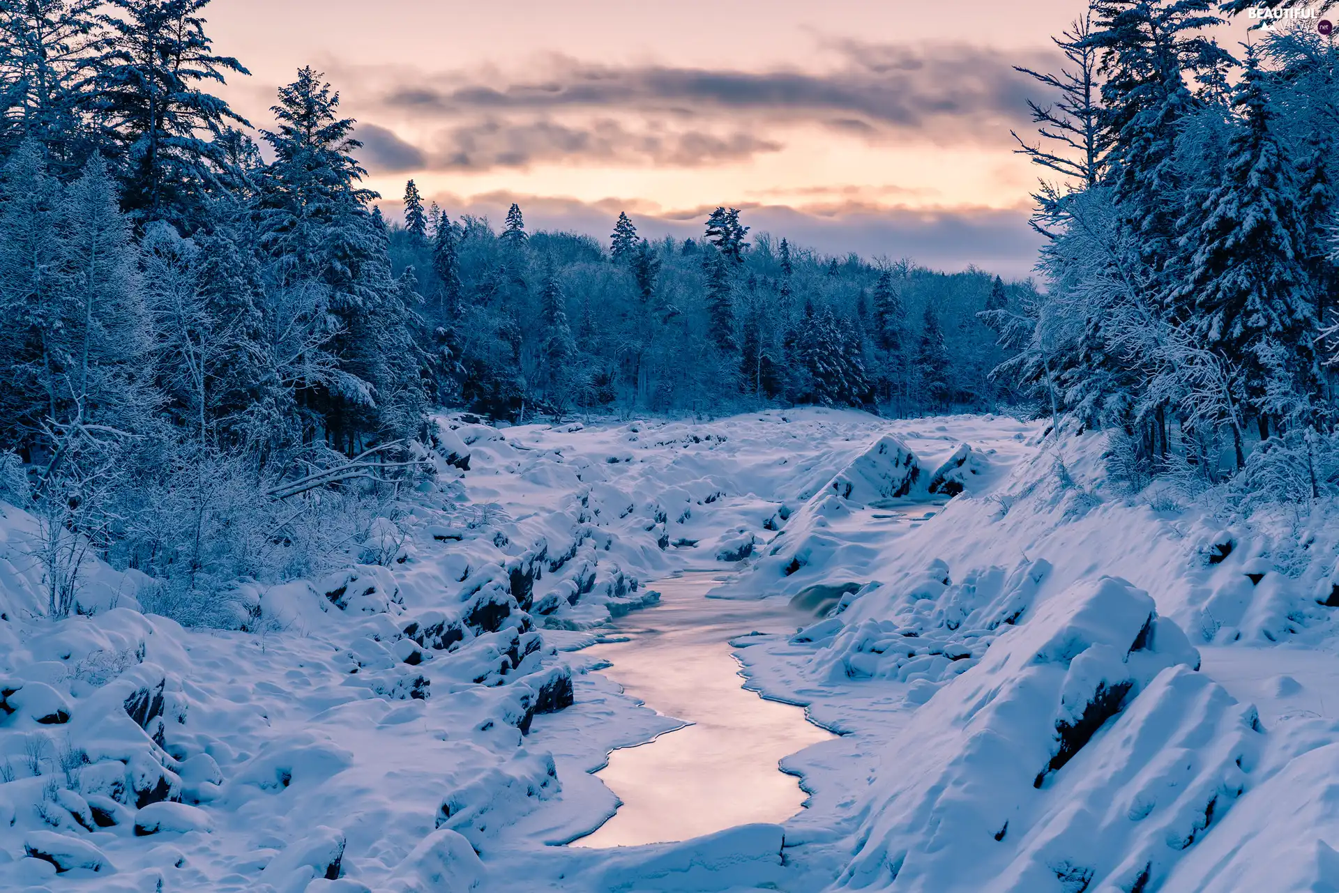 Snowy, forest, viewes, River, winter, trees, clouds