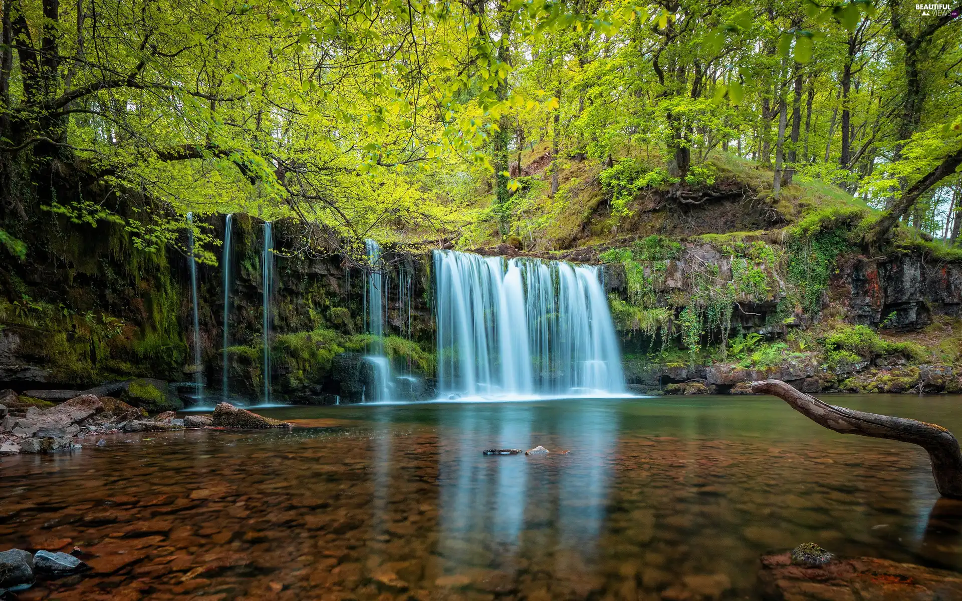 forest, Rocks, viewes, River, waterfall, trees, Stones