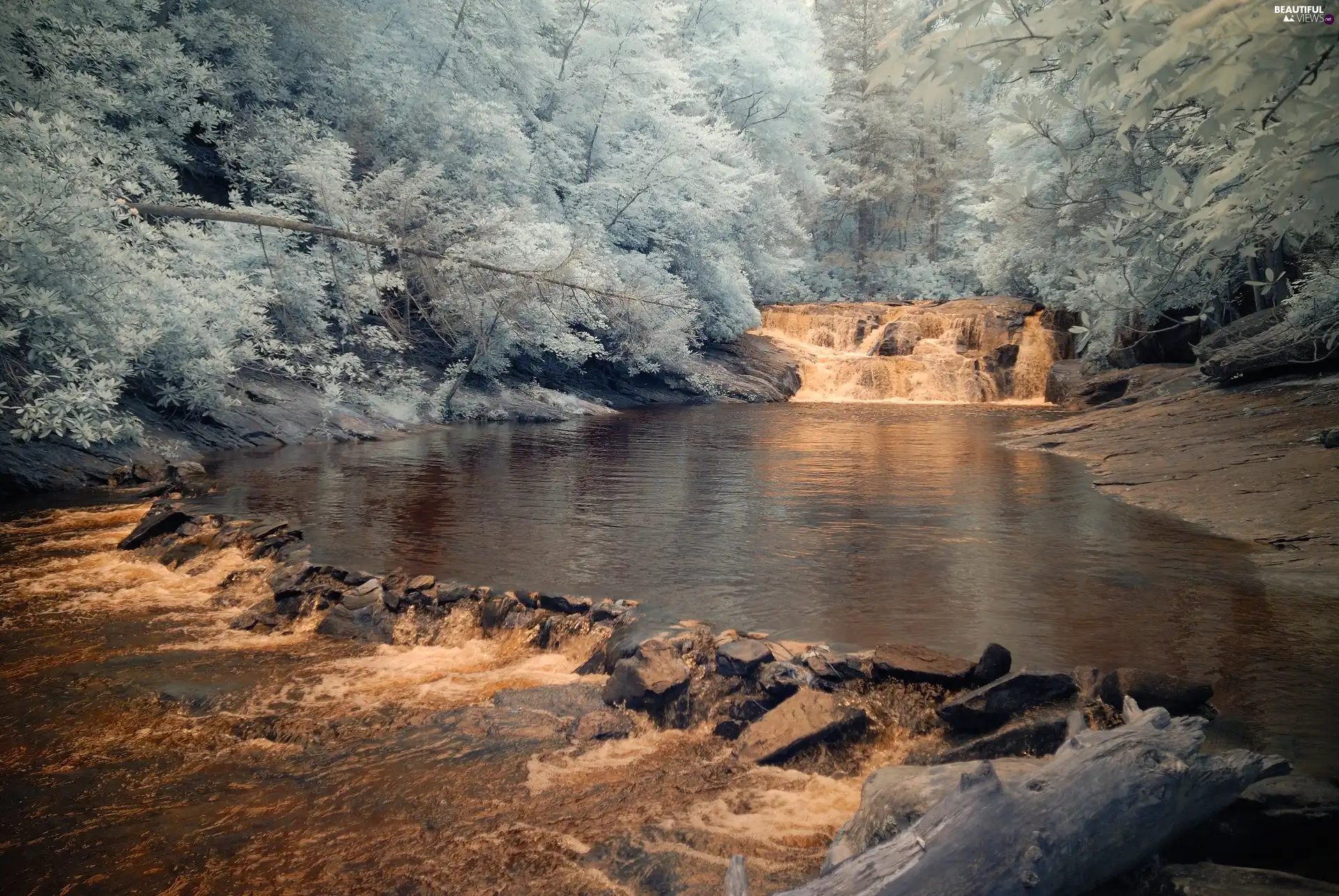 River, forest, waterfall