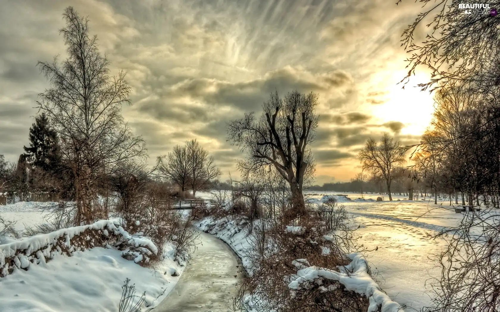 trees, west, River, winter, viewes, sun