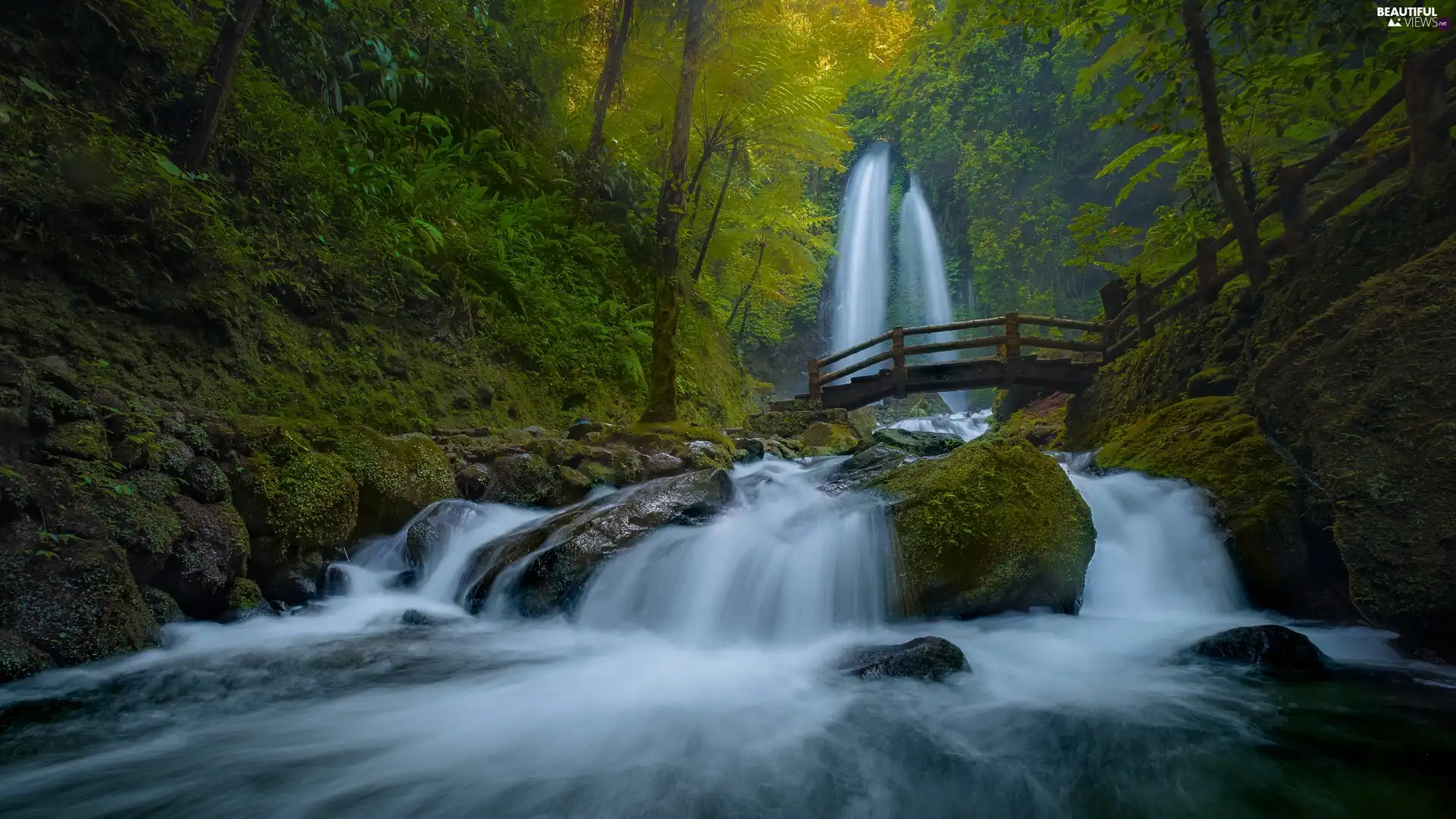 forest, River, wooden, bridges, waterfall