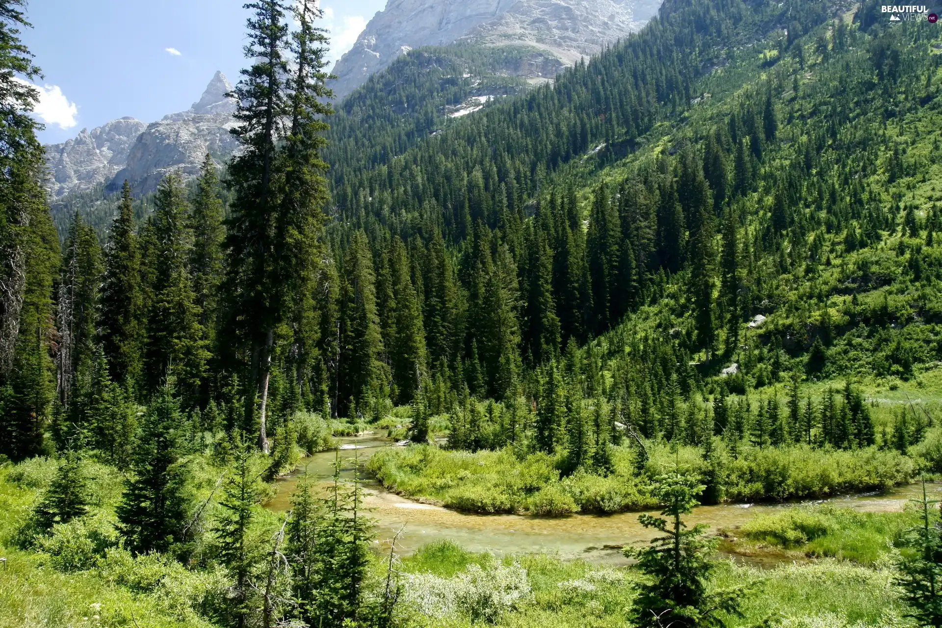 River, Mountains, woods