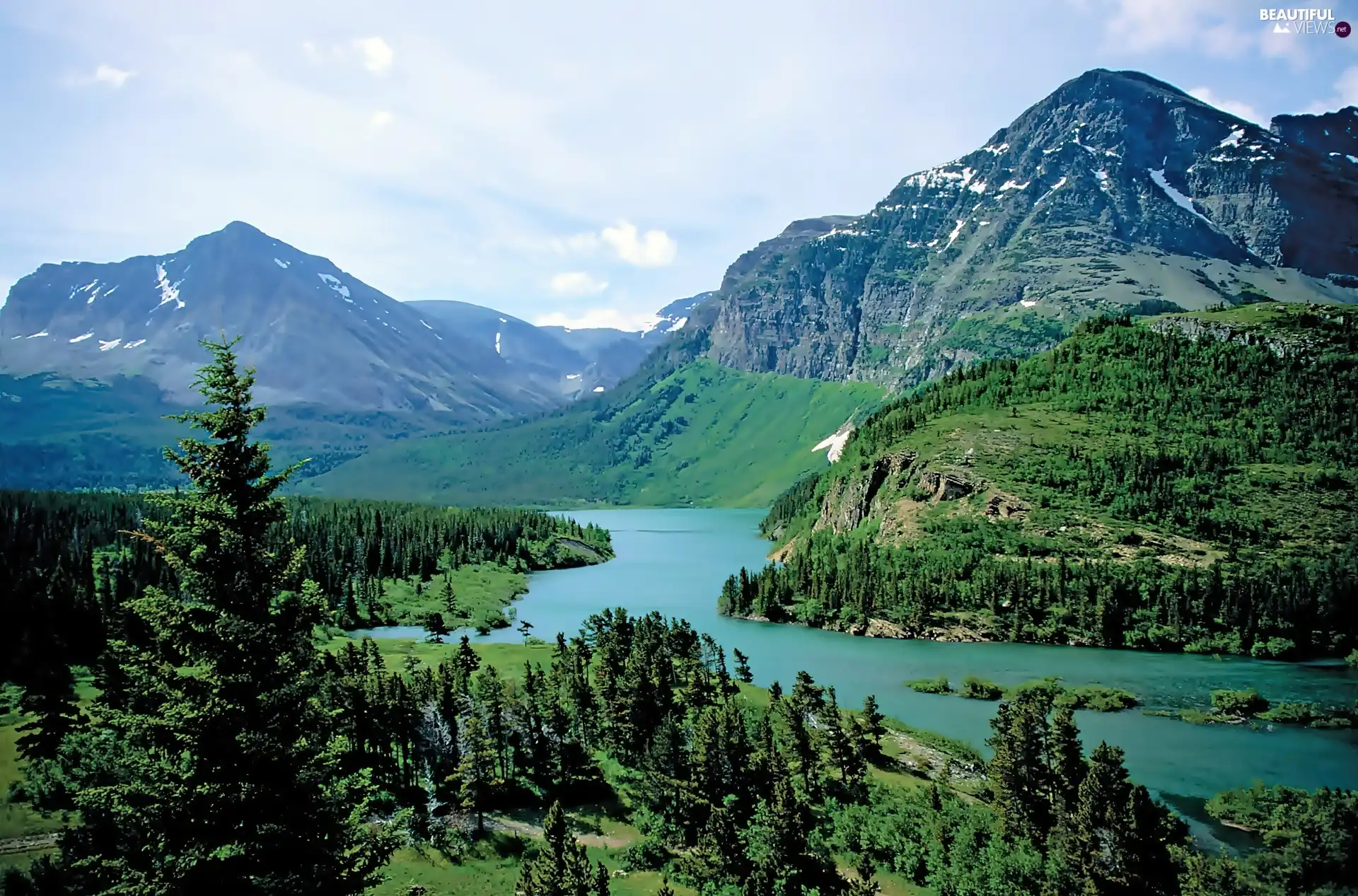 trees, viewes, woods, River, Mountains