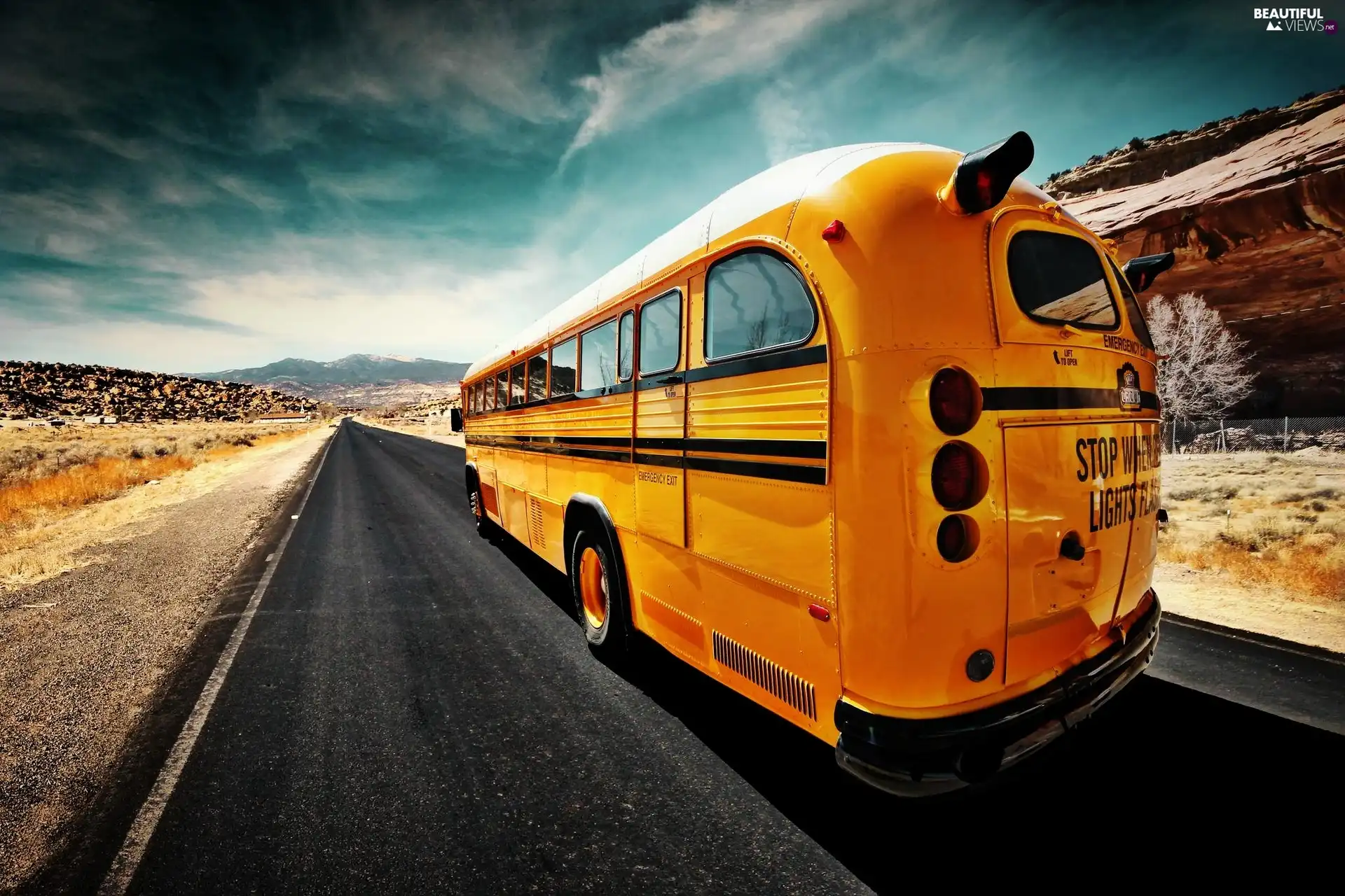 road, Yellow, bus