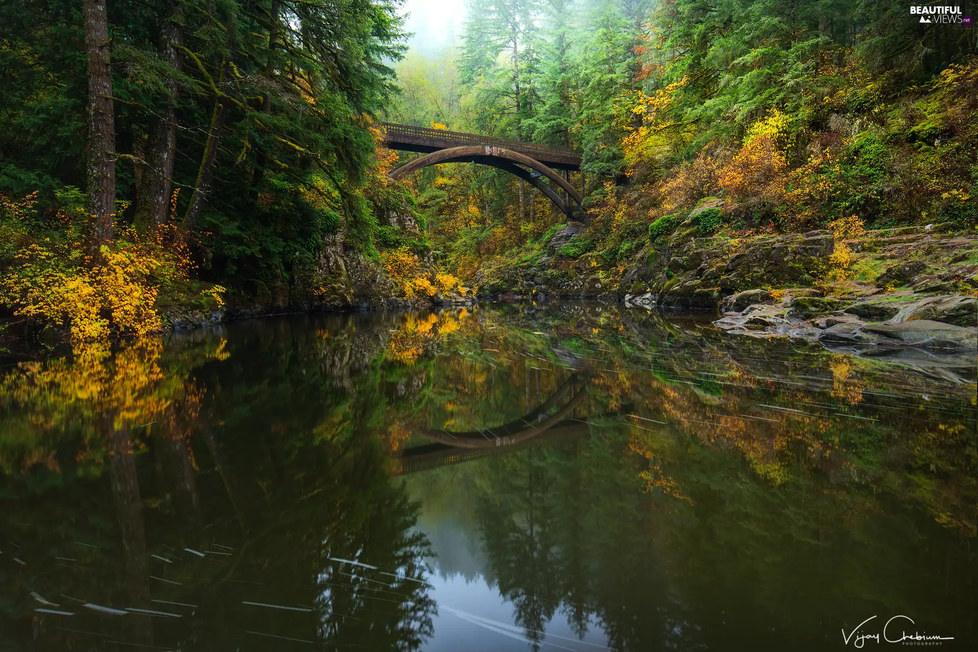 Moulton Falls Bridge, forest, Washington State, The United States, rocks, Lewis River