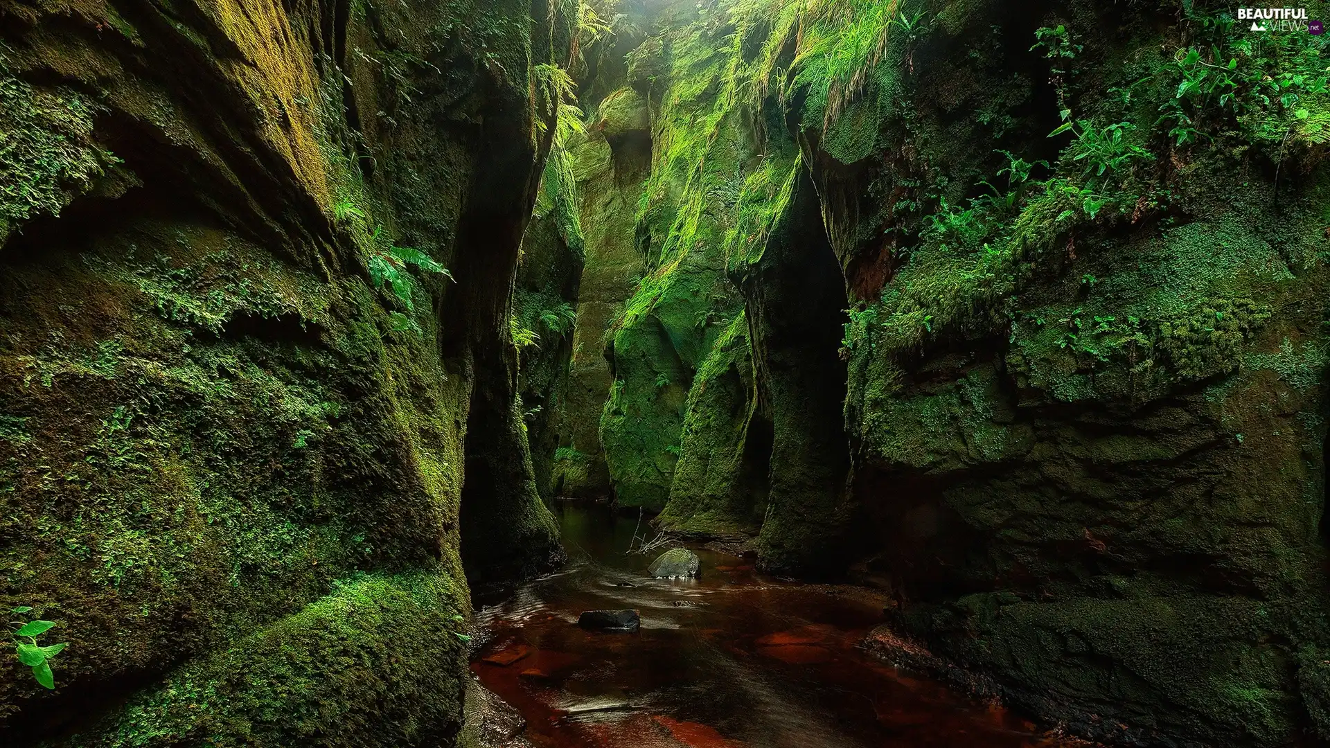 rocks, Finnich Glen, VEGETATION, Mountains, Scotland, Moss, Carnock Burn River