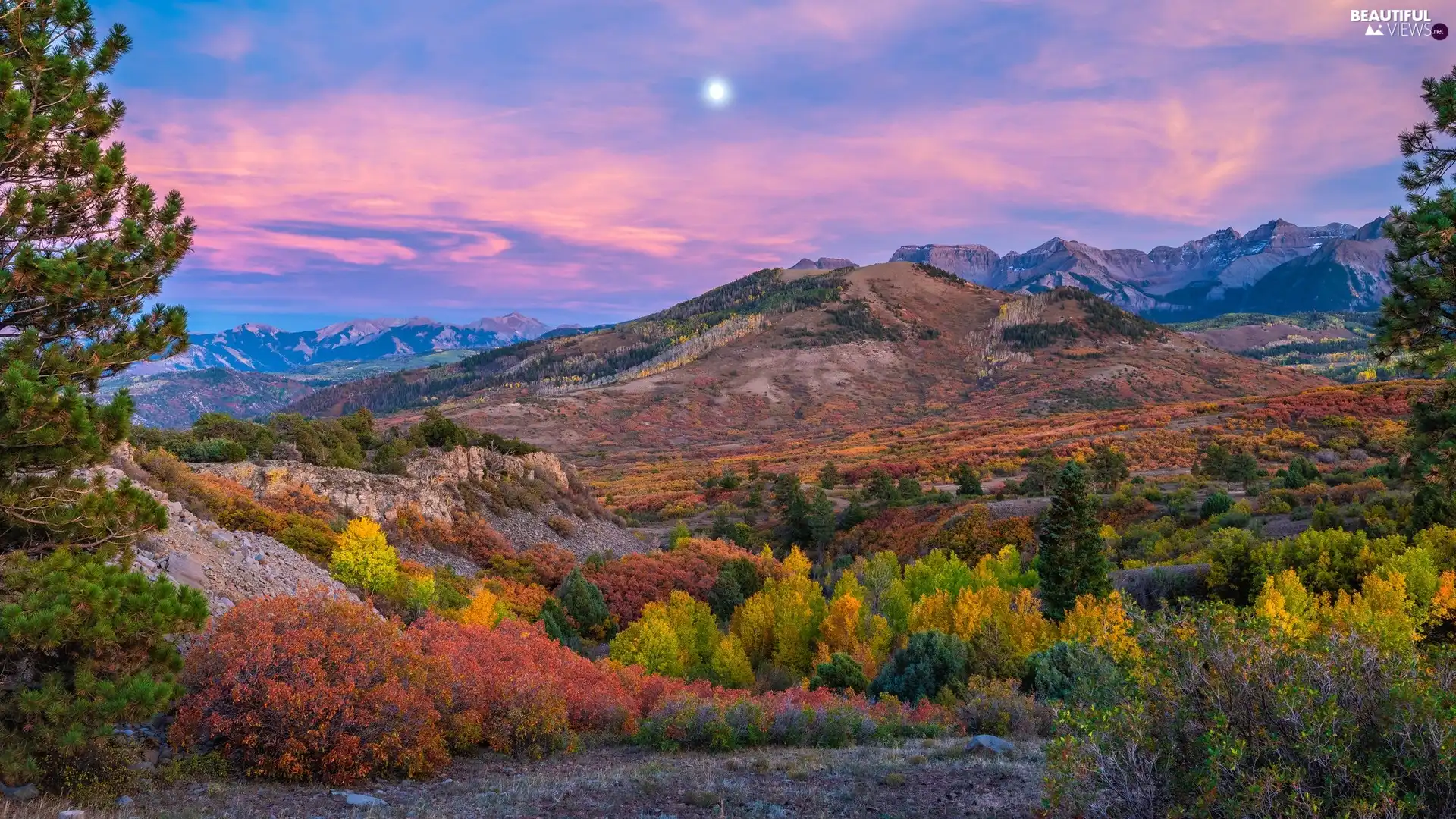 trees, Mountains, Bush, rocks, morning, viewes, autumn