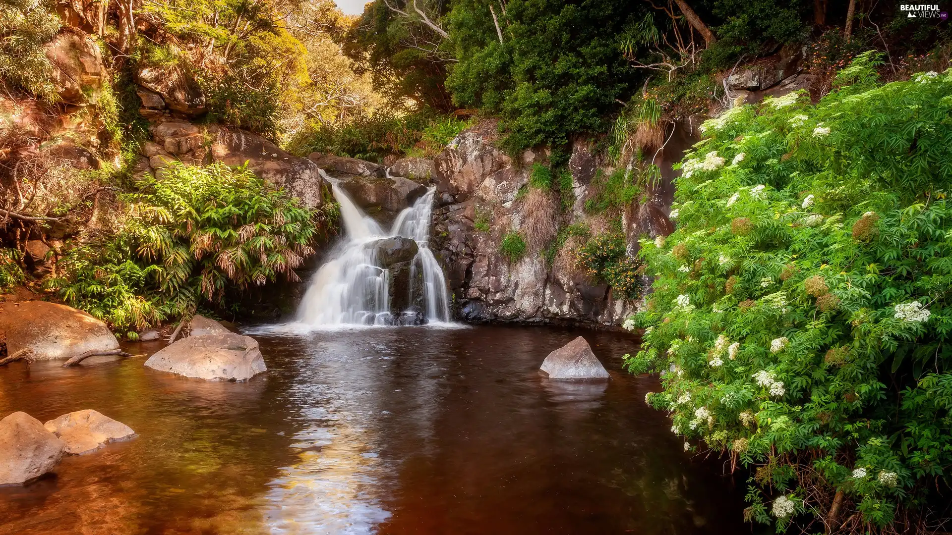 rocks, Stones, waterfall, trees, River, Plants, Bush, Flowers, viewes